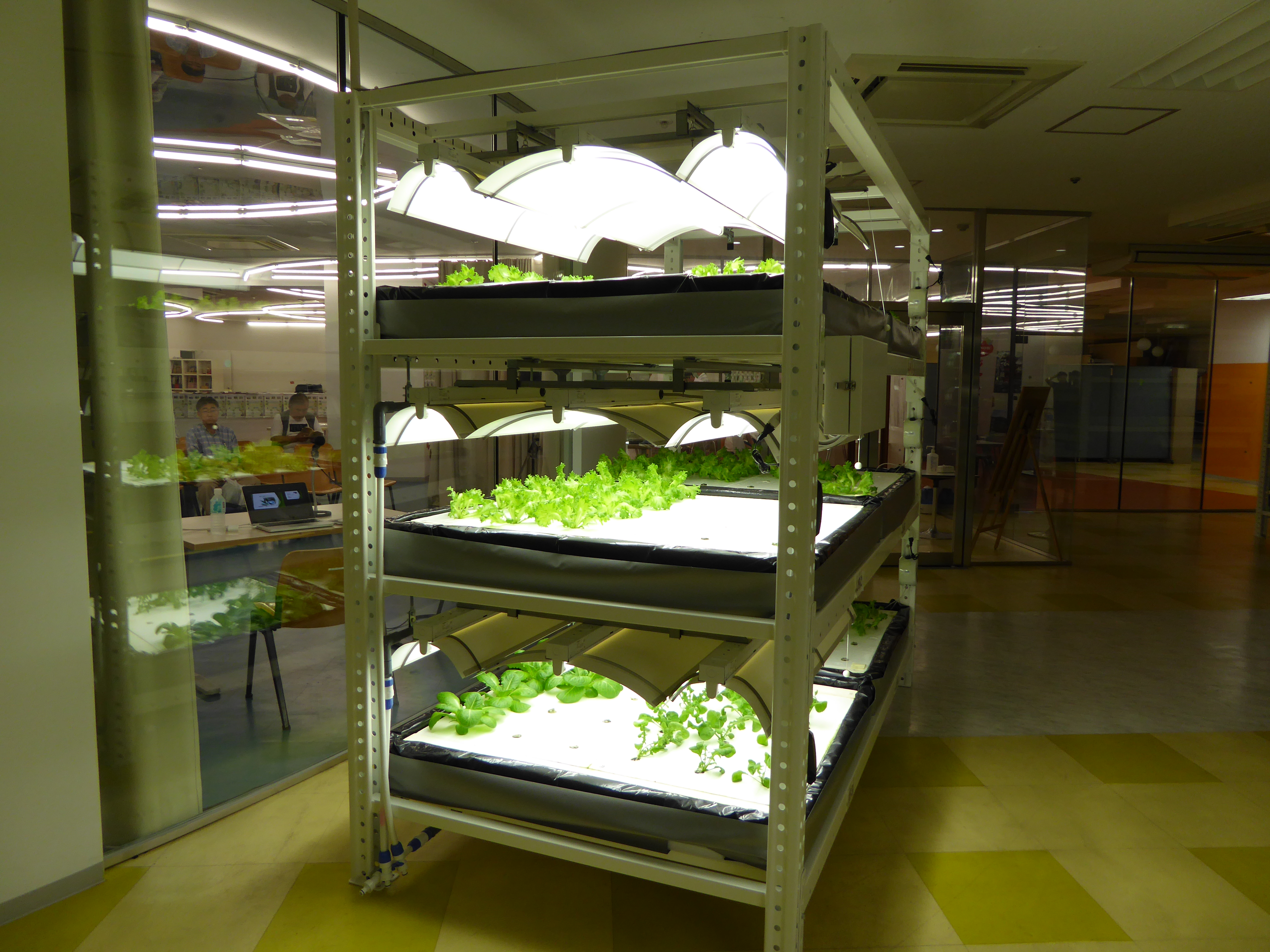 P1000096.JPG