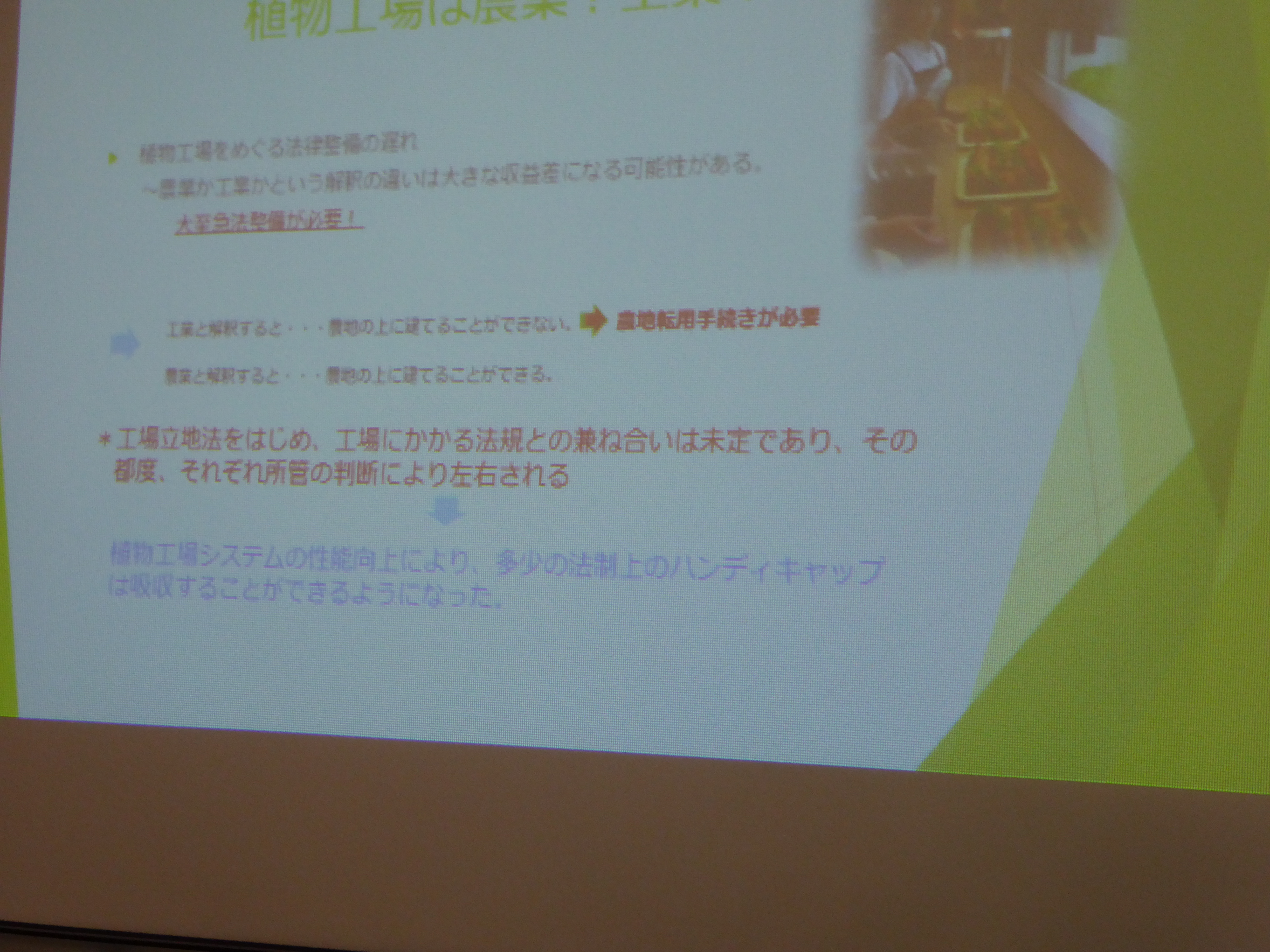 P1000100.JPG