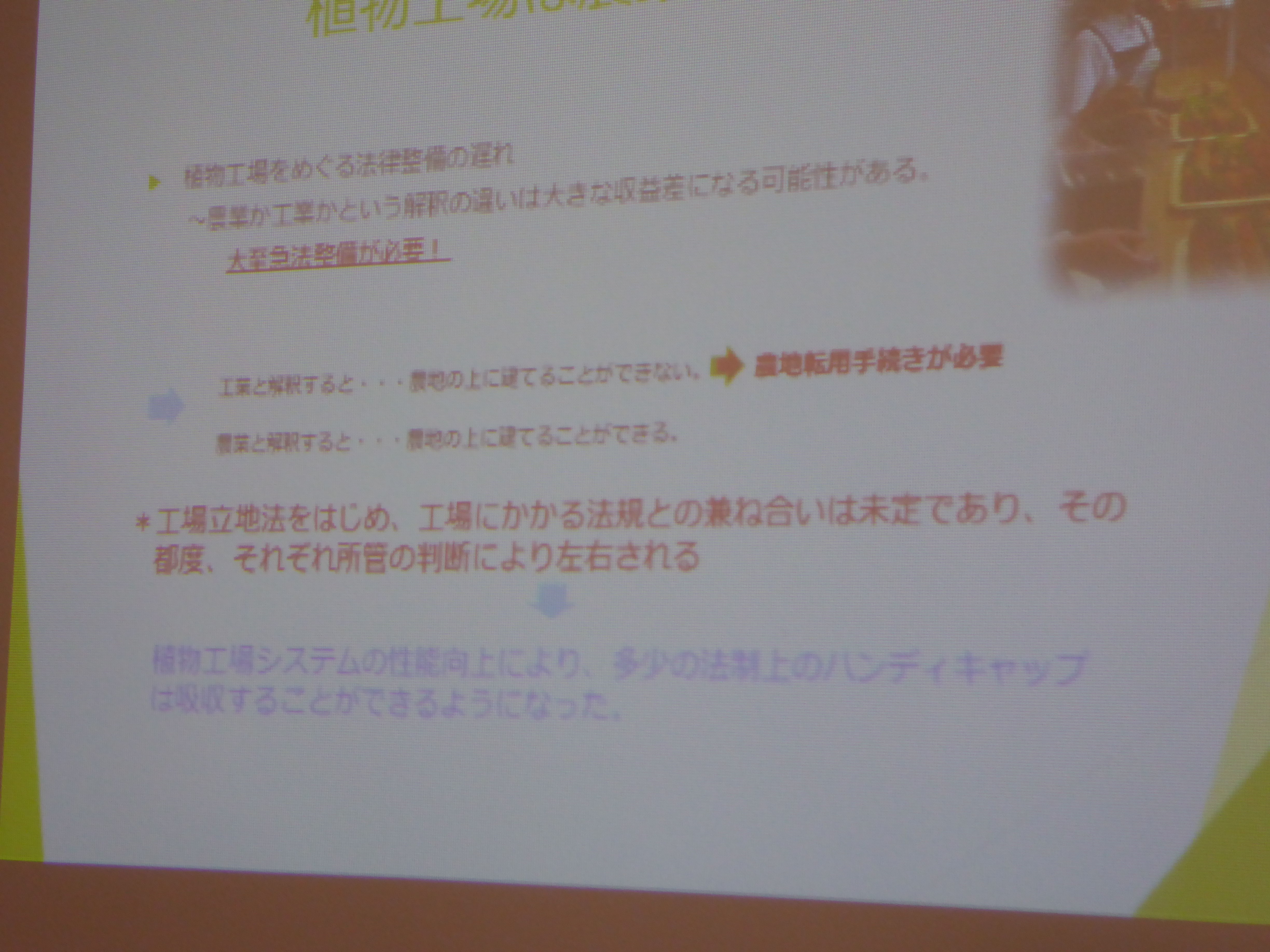 P1000101.JPG