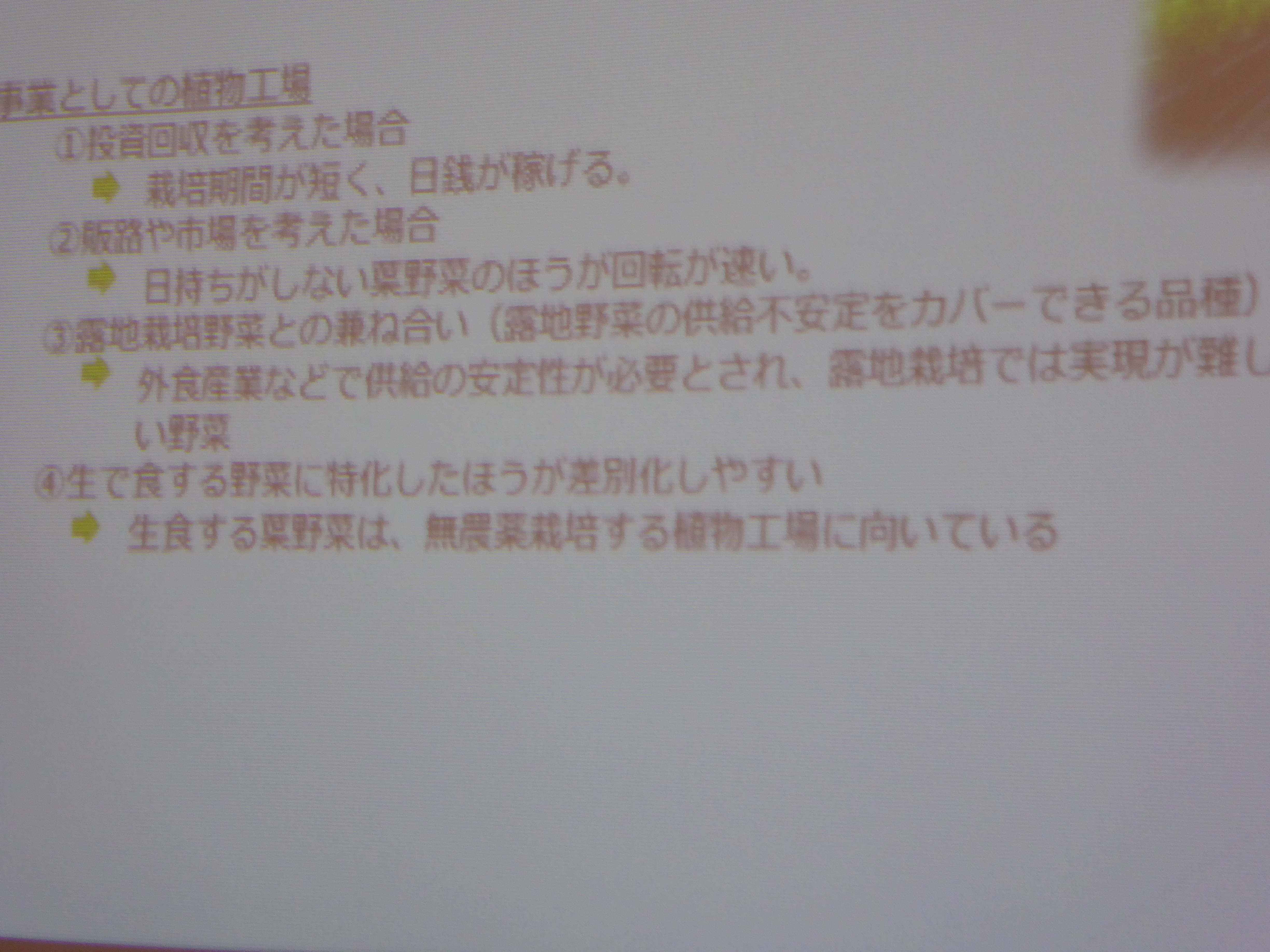 P1000102.JPG