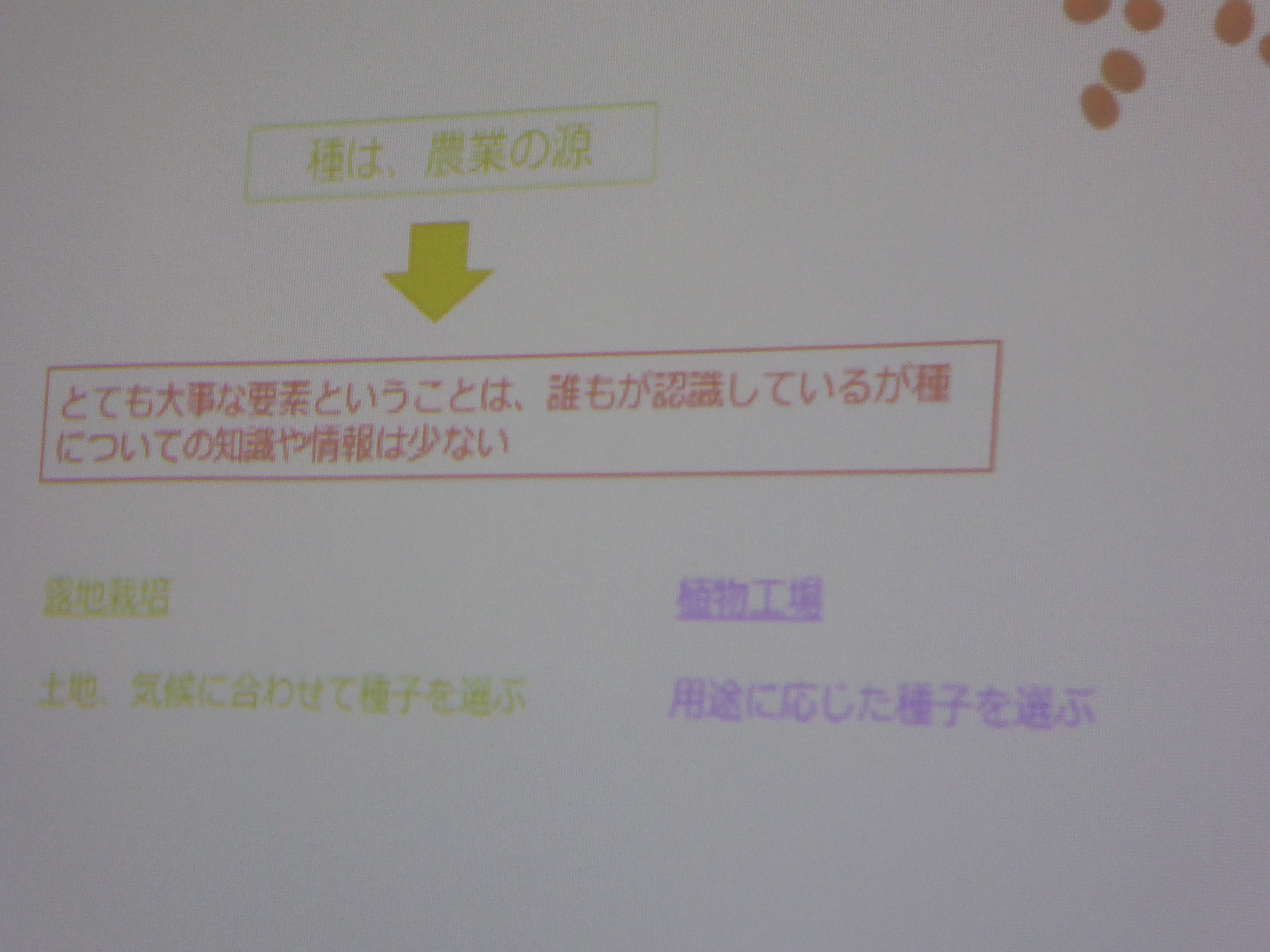 P1000103.JPG