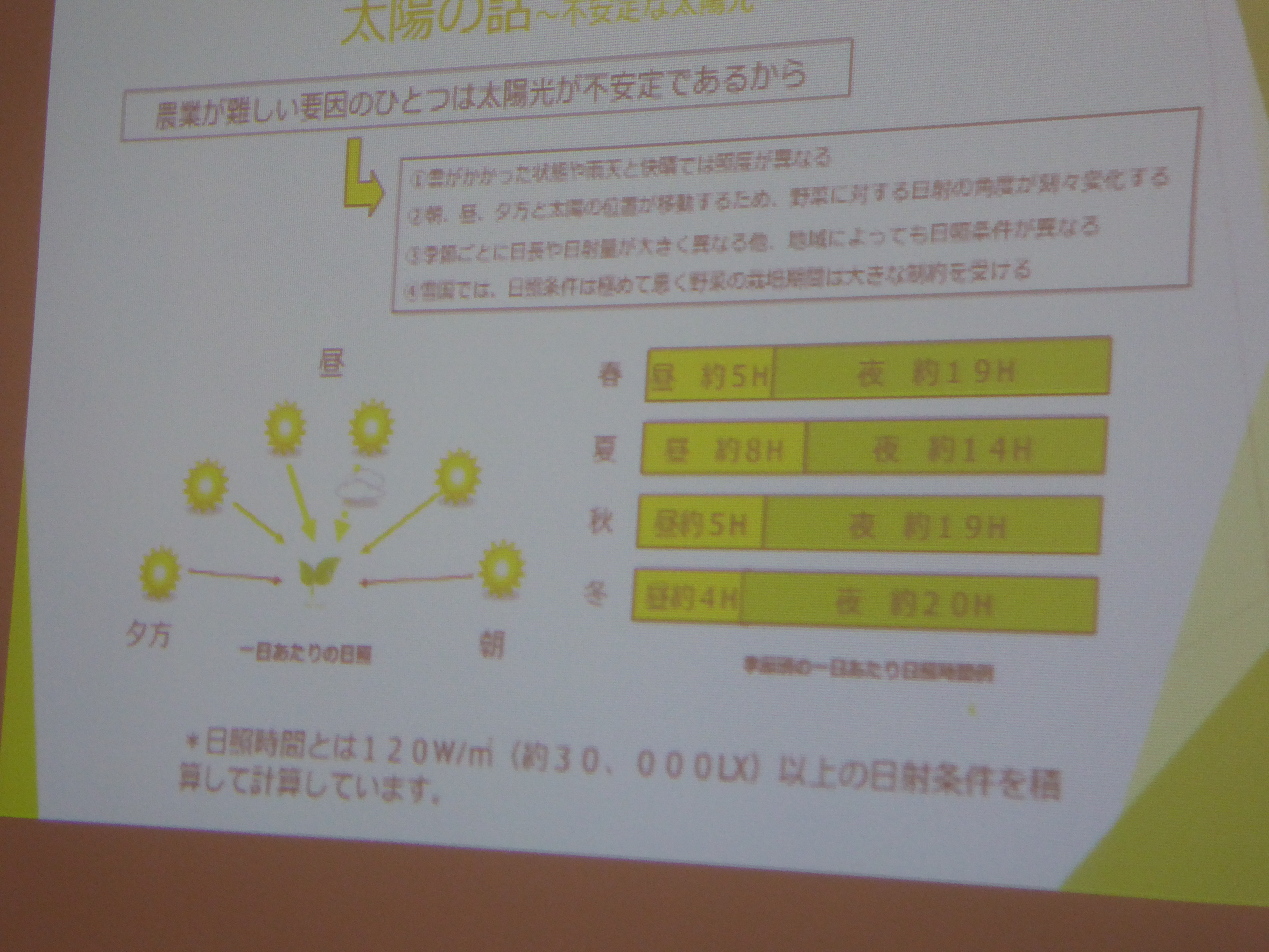 P1000104.JPG