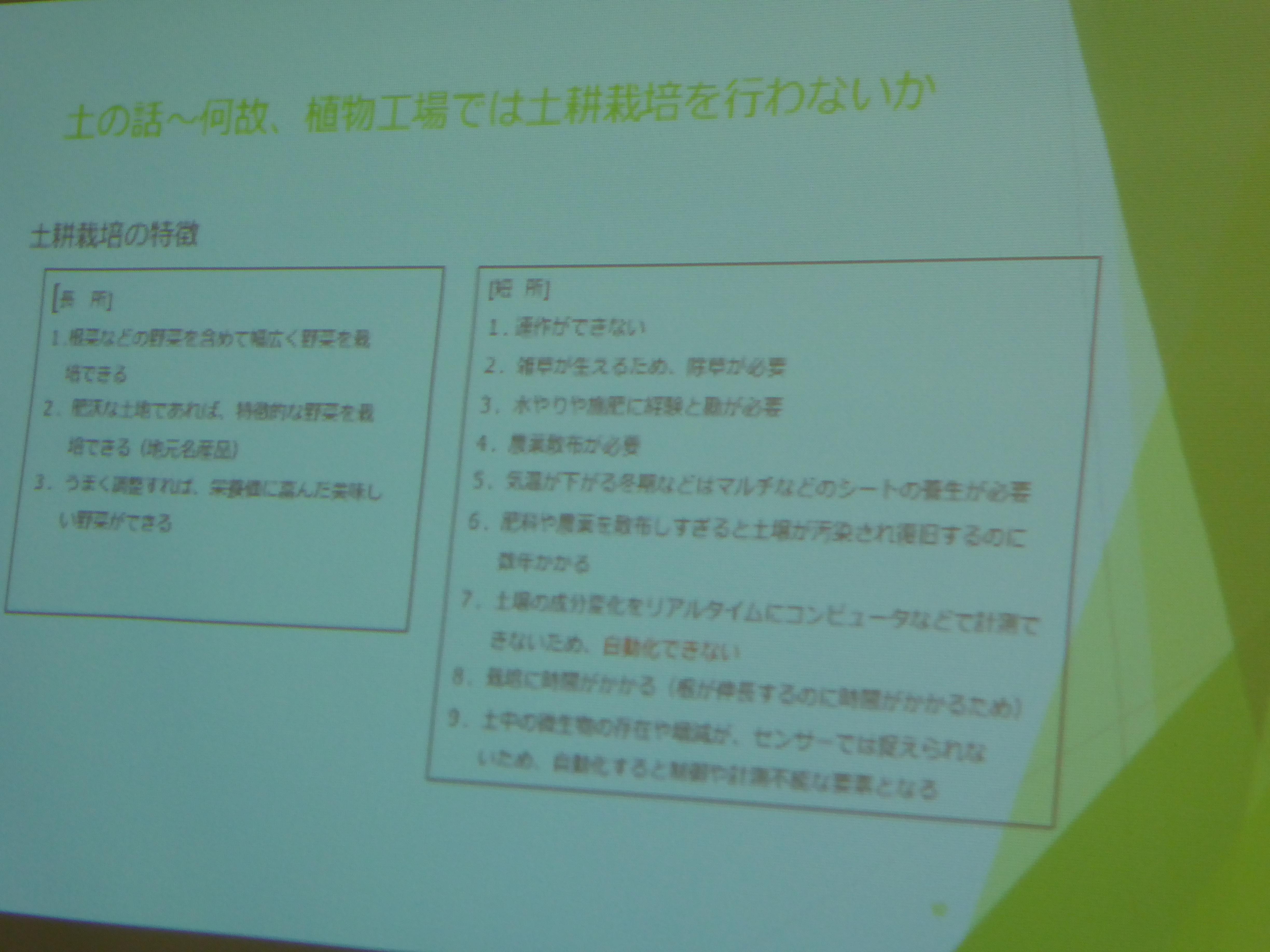 P1000107.JPG