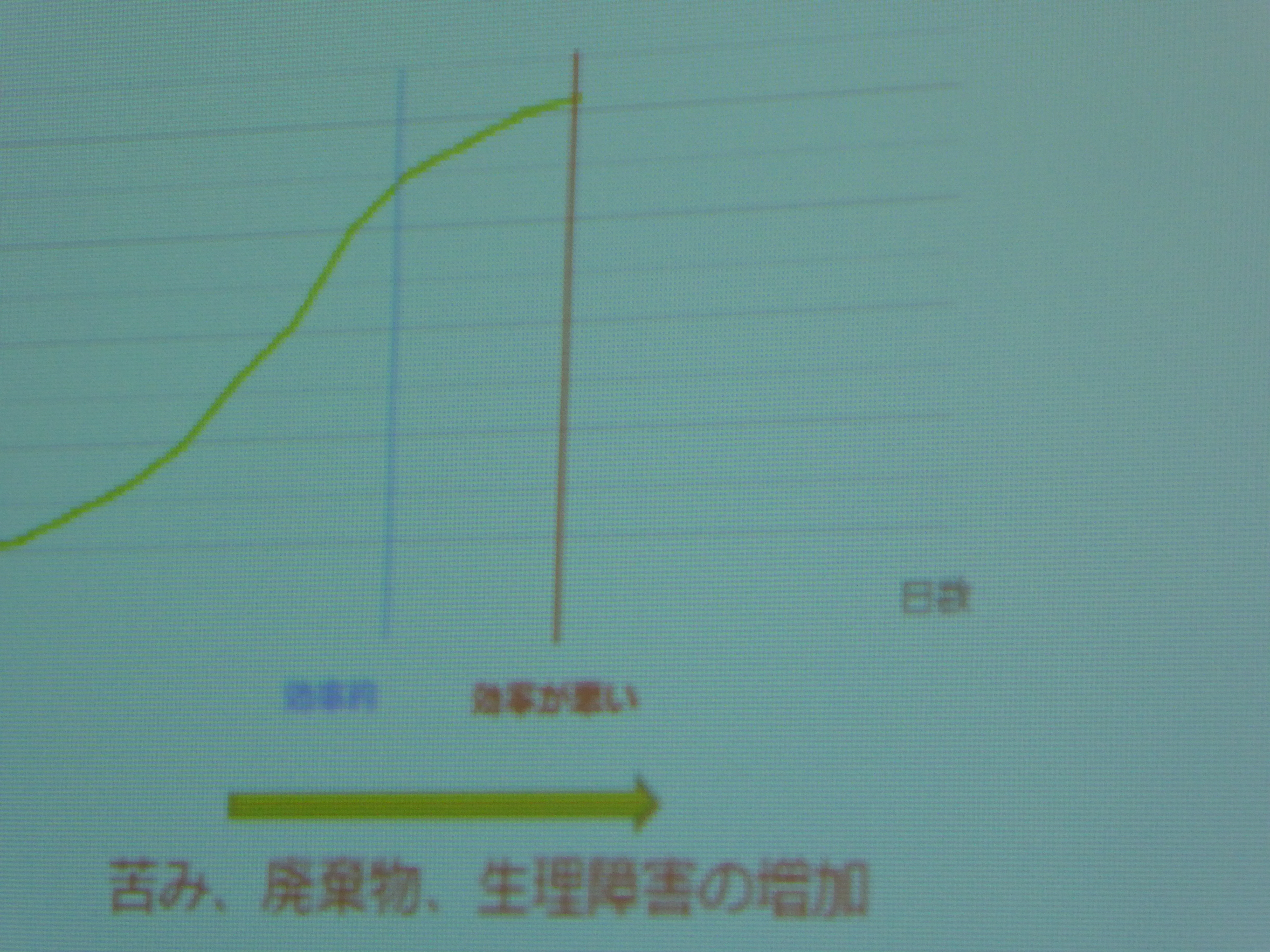 P1000114.JPG