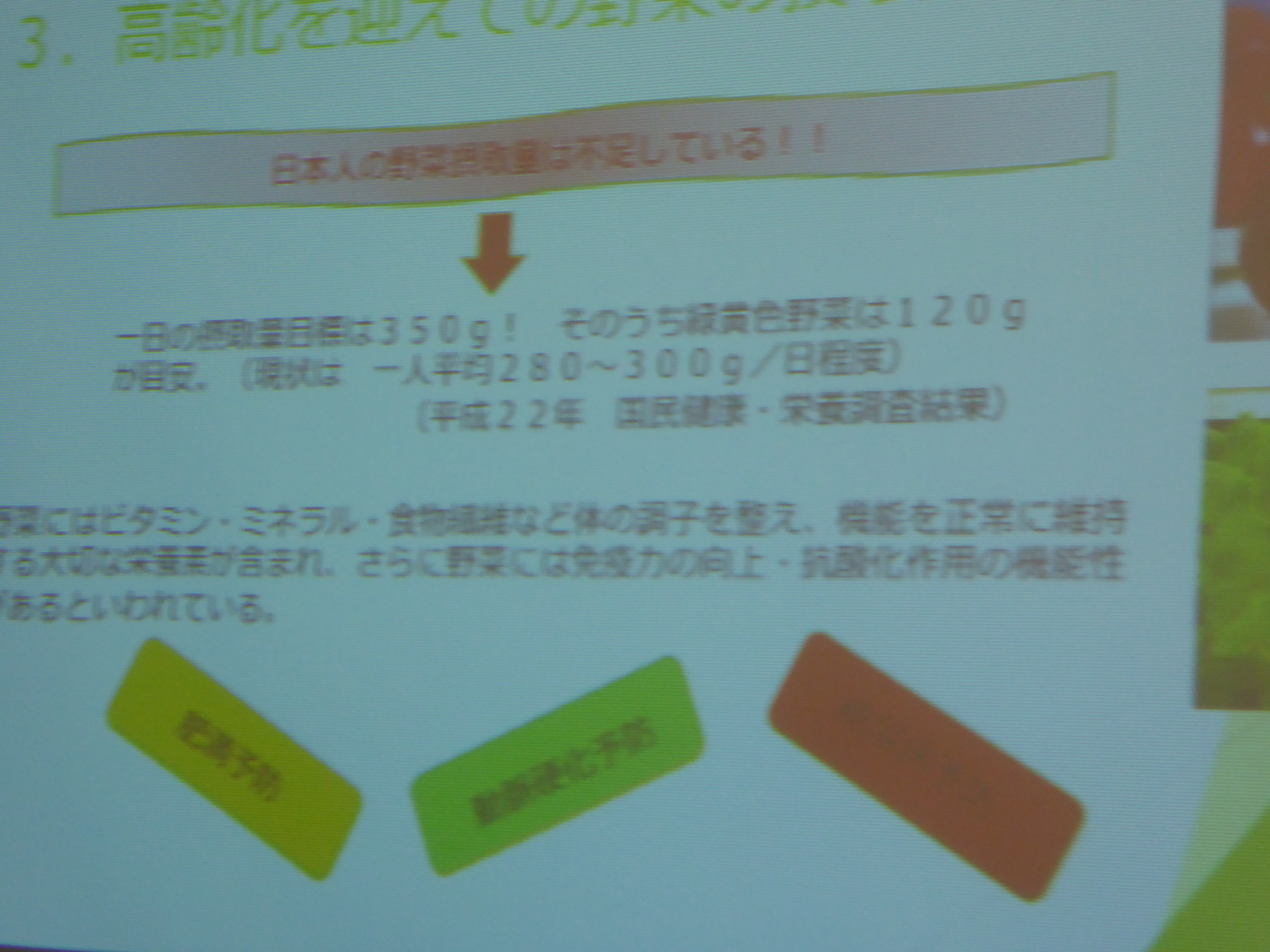 P1000115.JPG