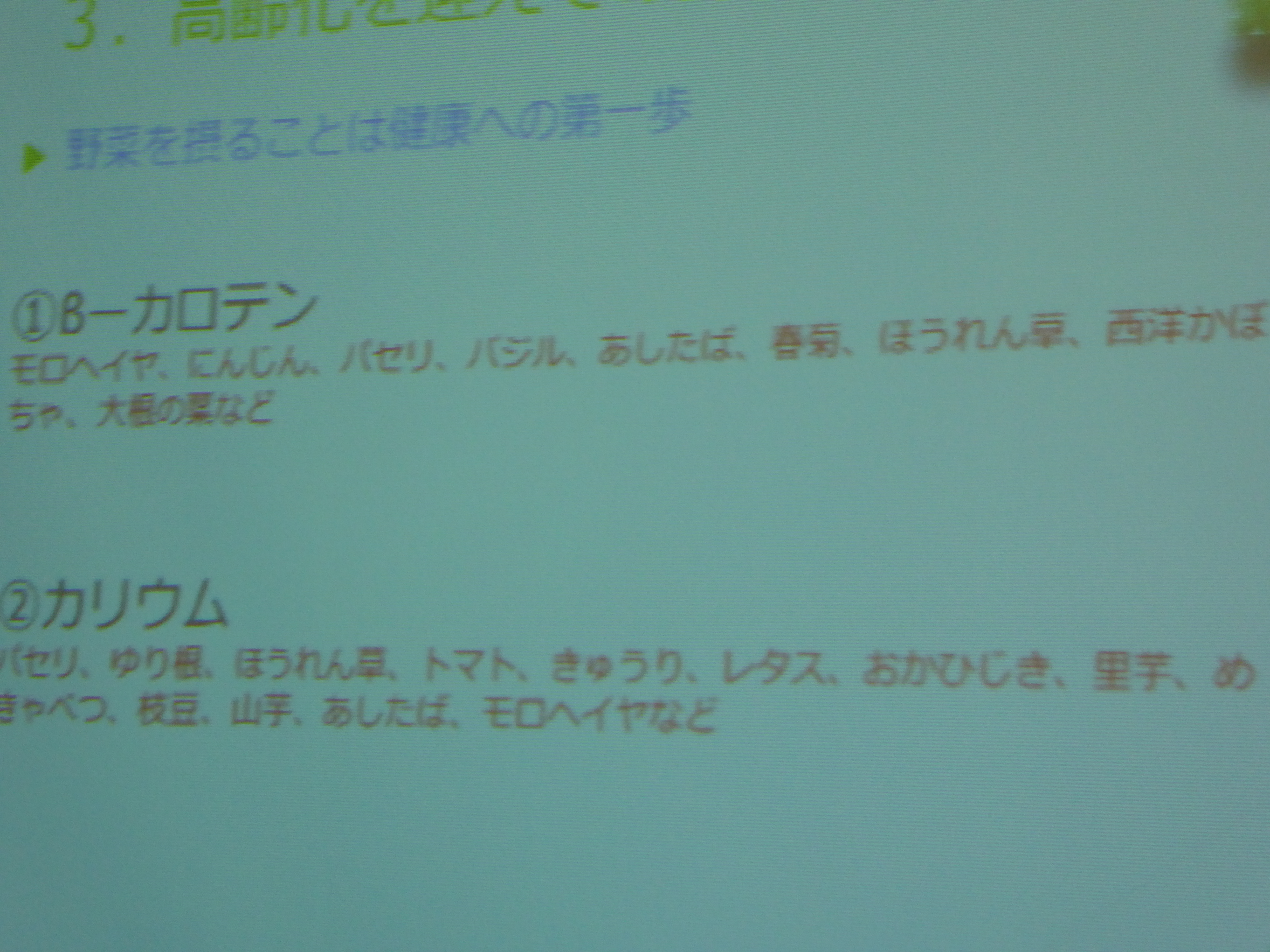 P1000116.JPG