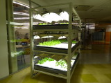 img0002.jpg