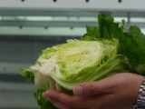 img0017.jpg
