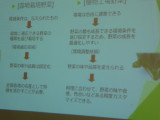 img0019.jpg