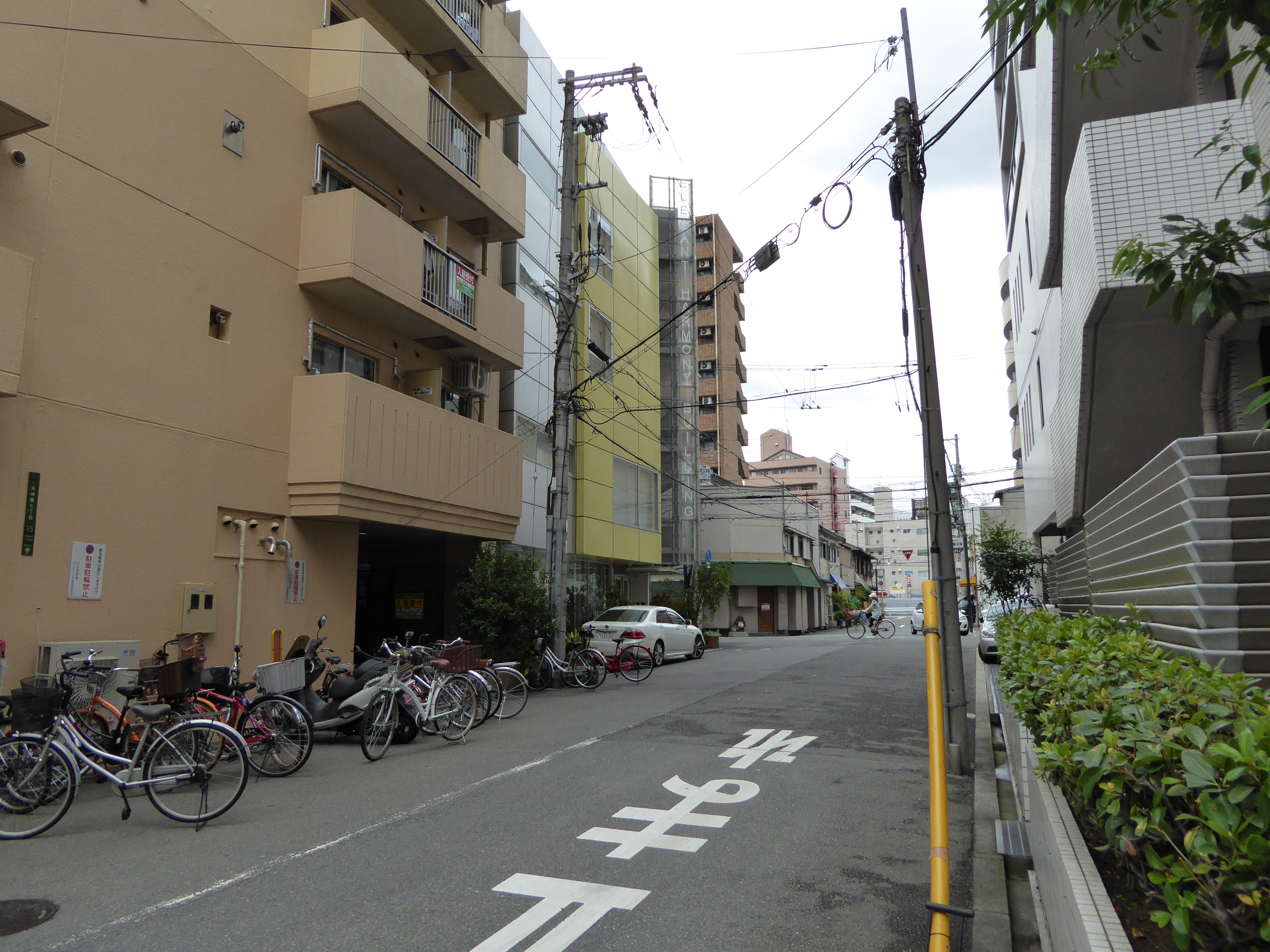 P1000151.JPG