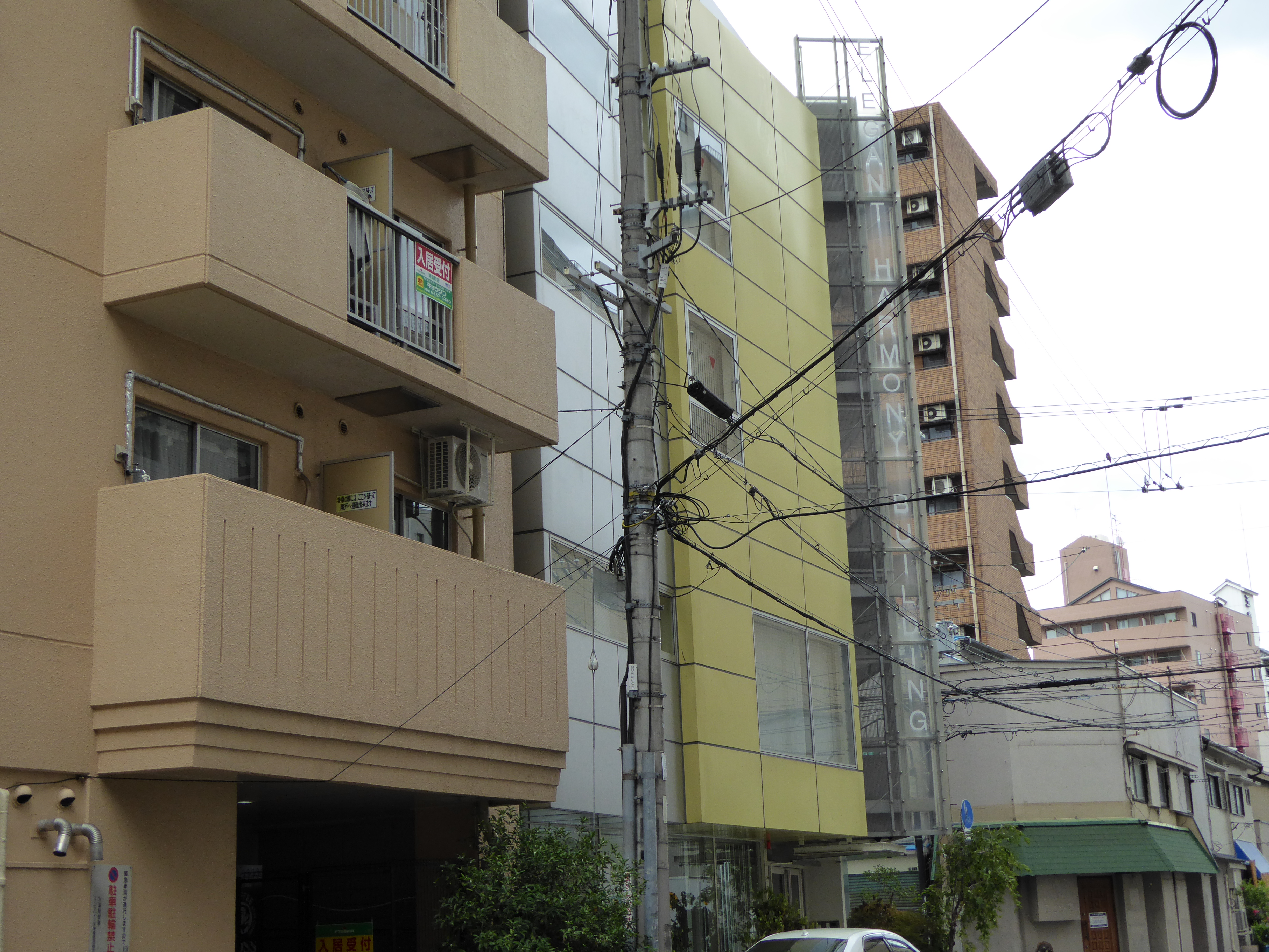 P1000152.JPG