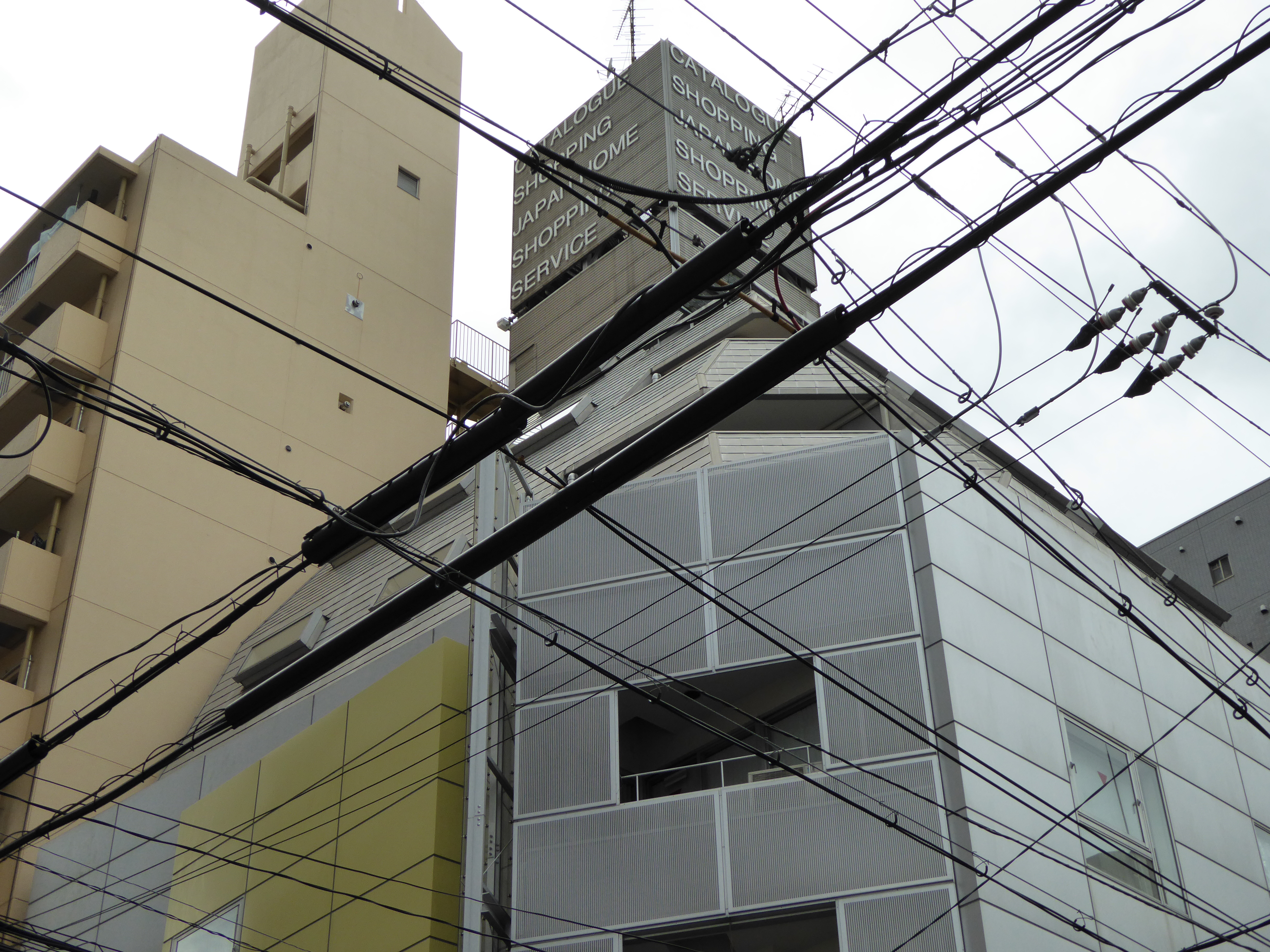 P1000153.JPG
