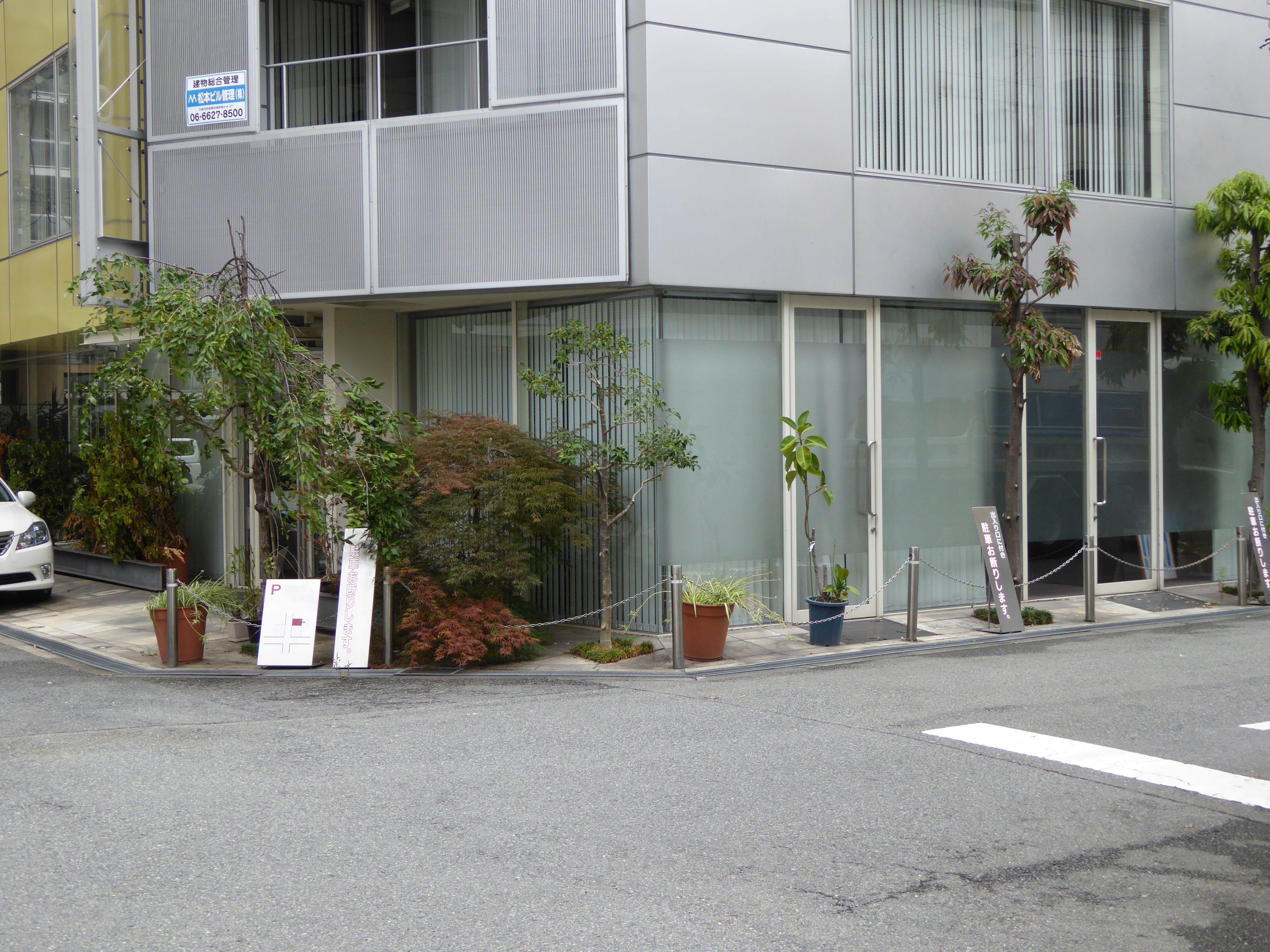 P1000156.JPG