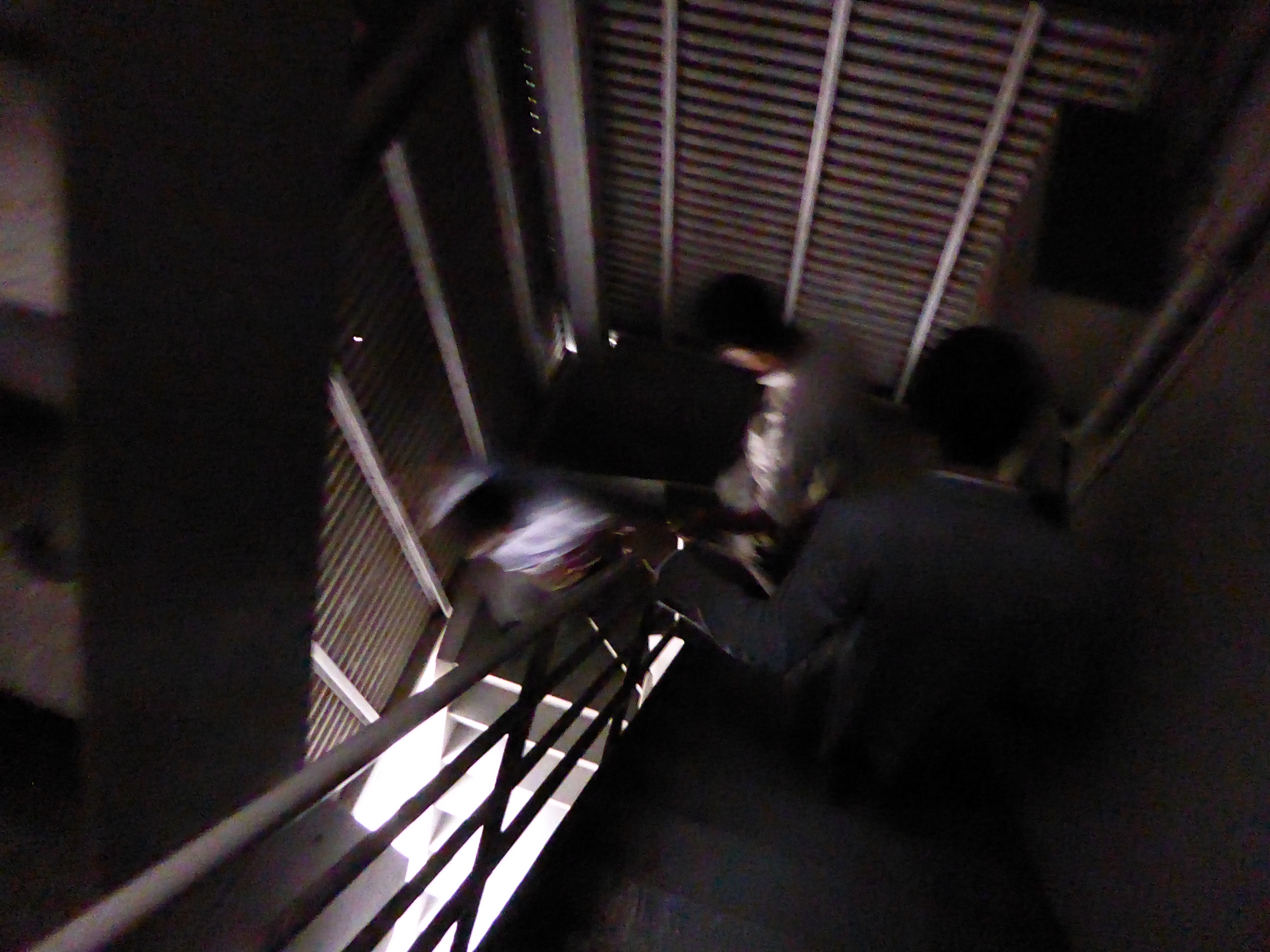 P1000173.JPG