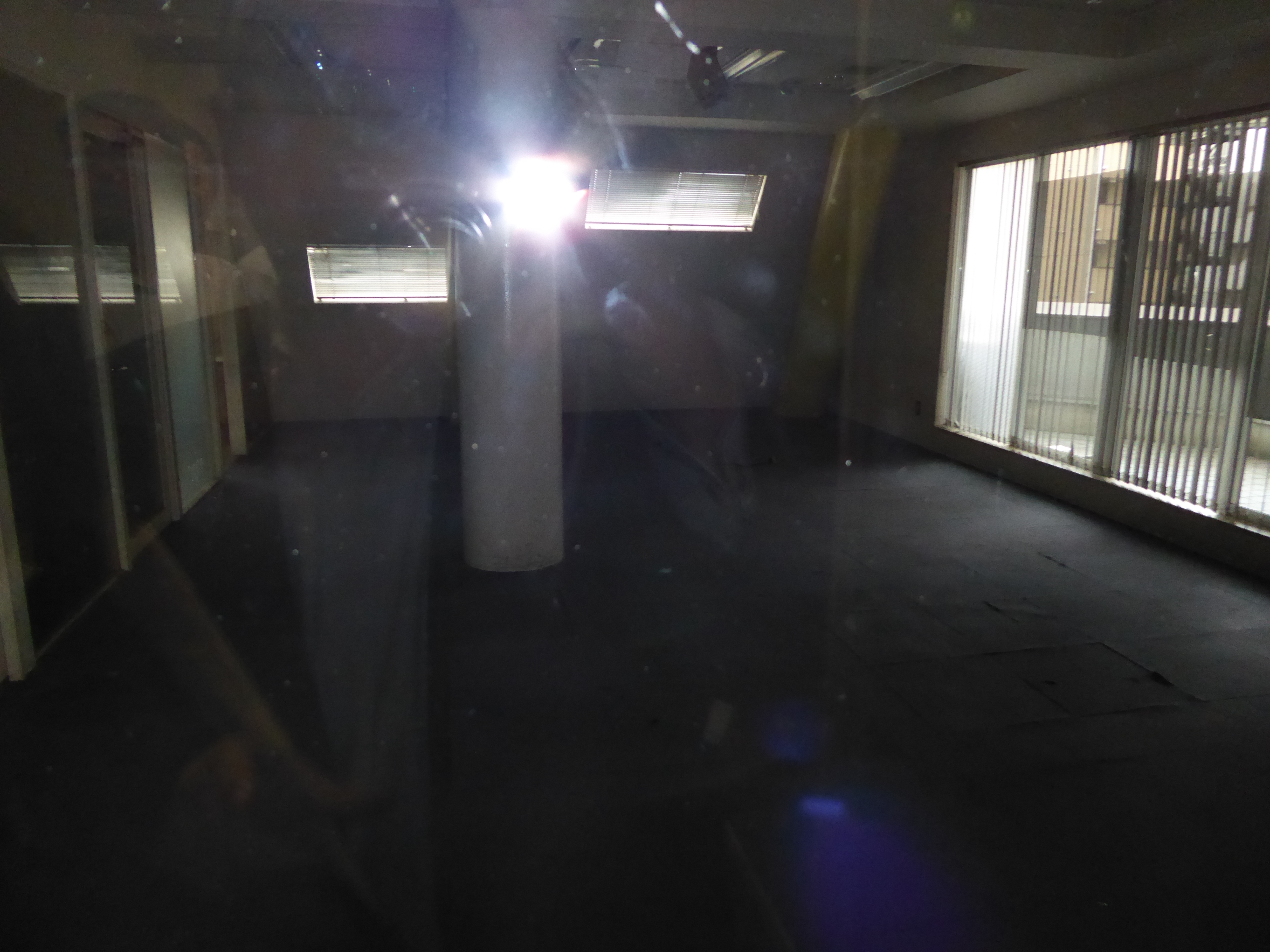 P1000176.JPG