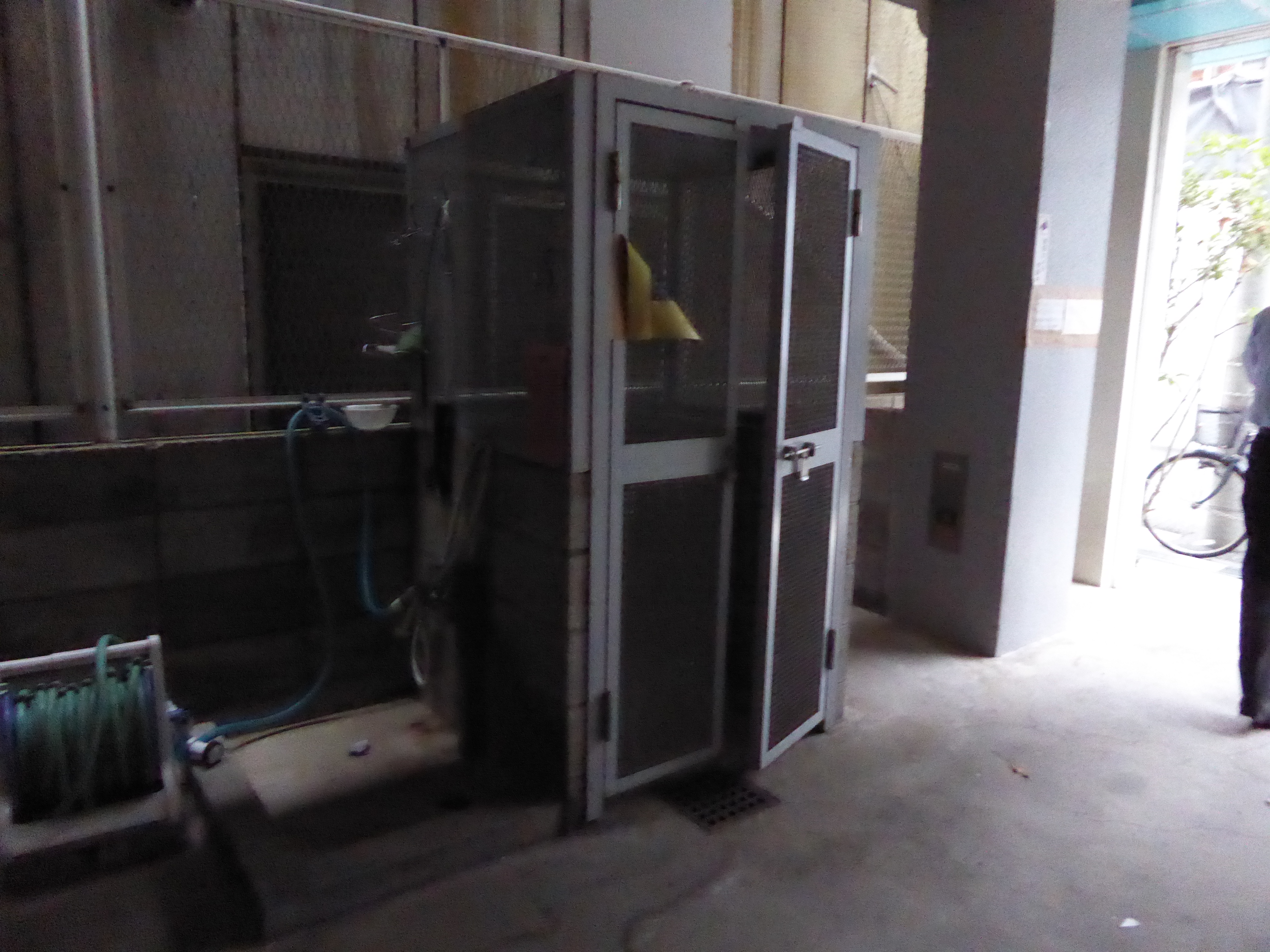 P1000213.JPG