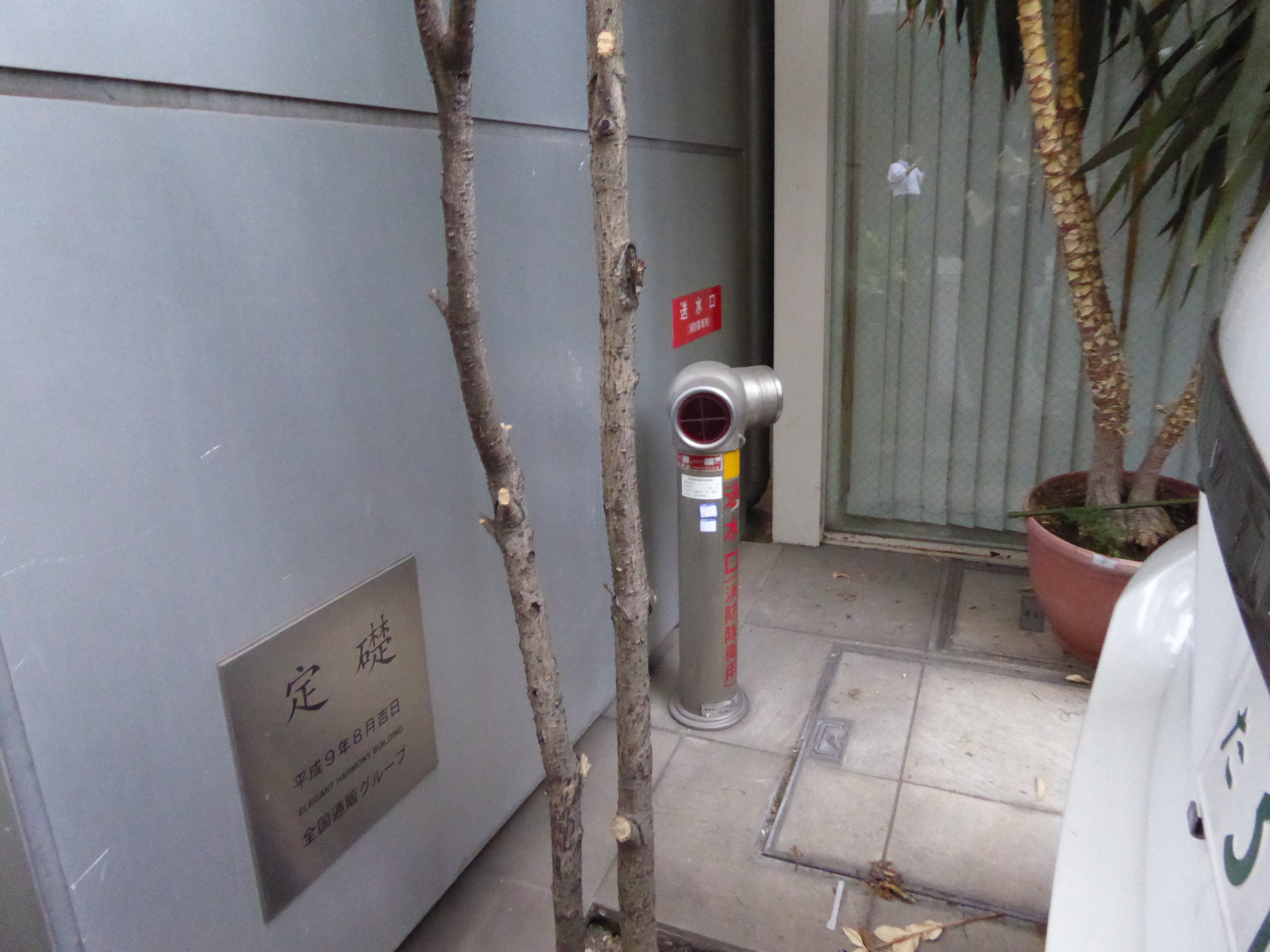 P1000216.JPG
