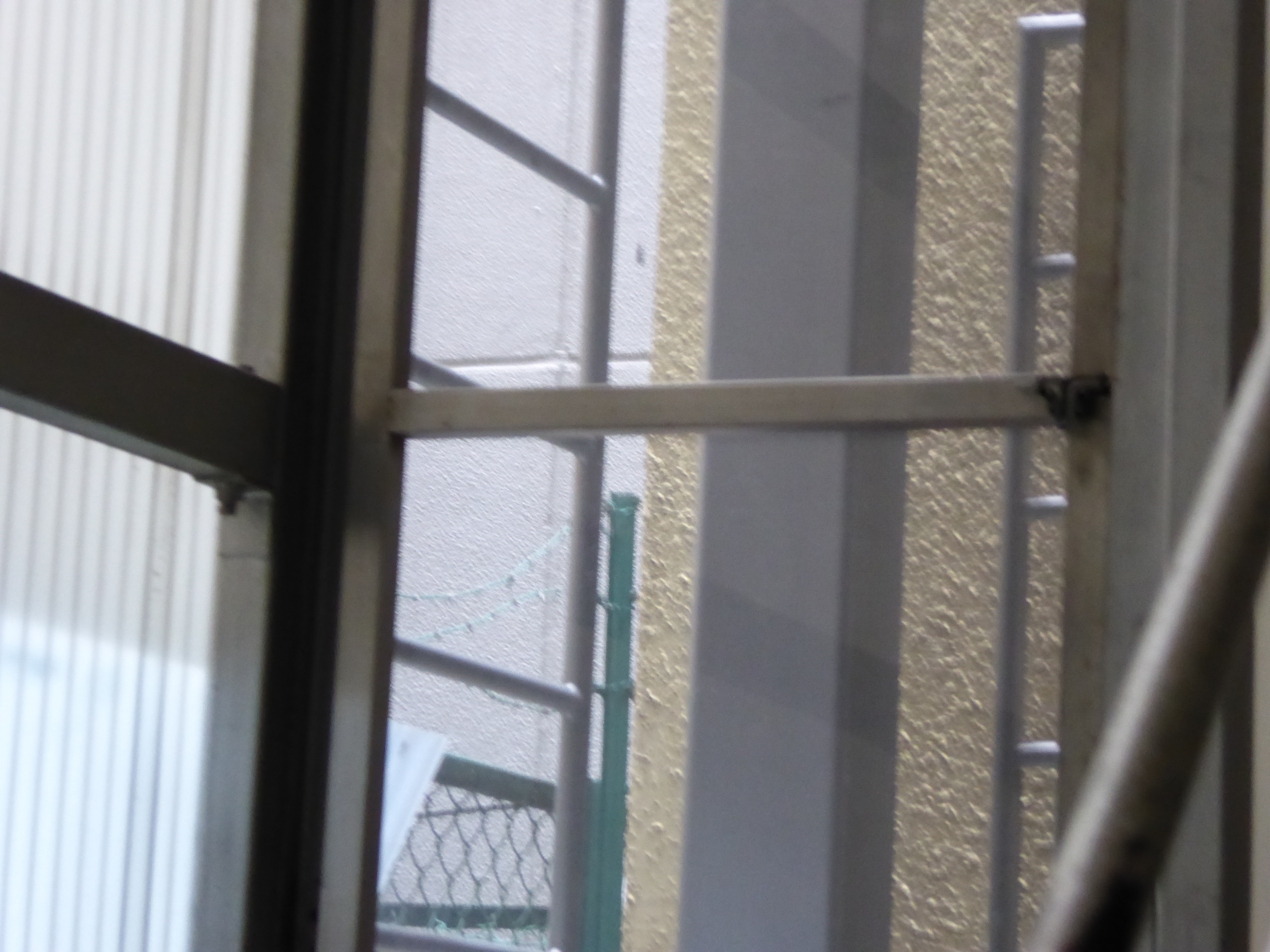 P1000219.JPG