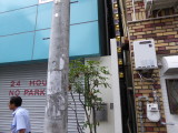 img0051.jpg