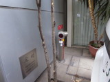 img0056.jpg