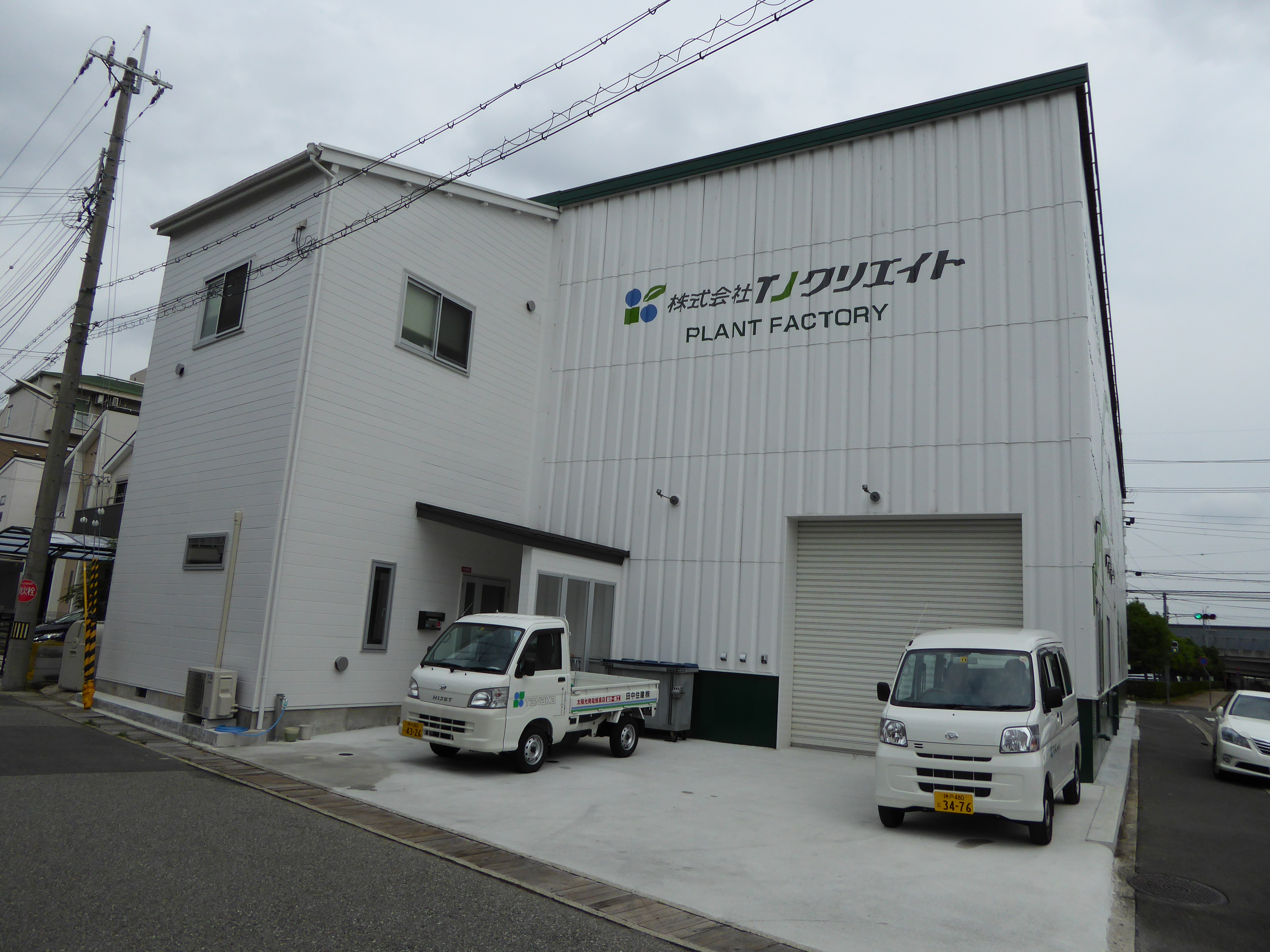 P1000222.JPG