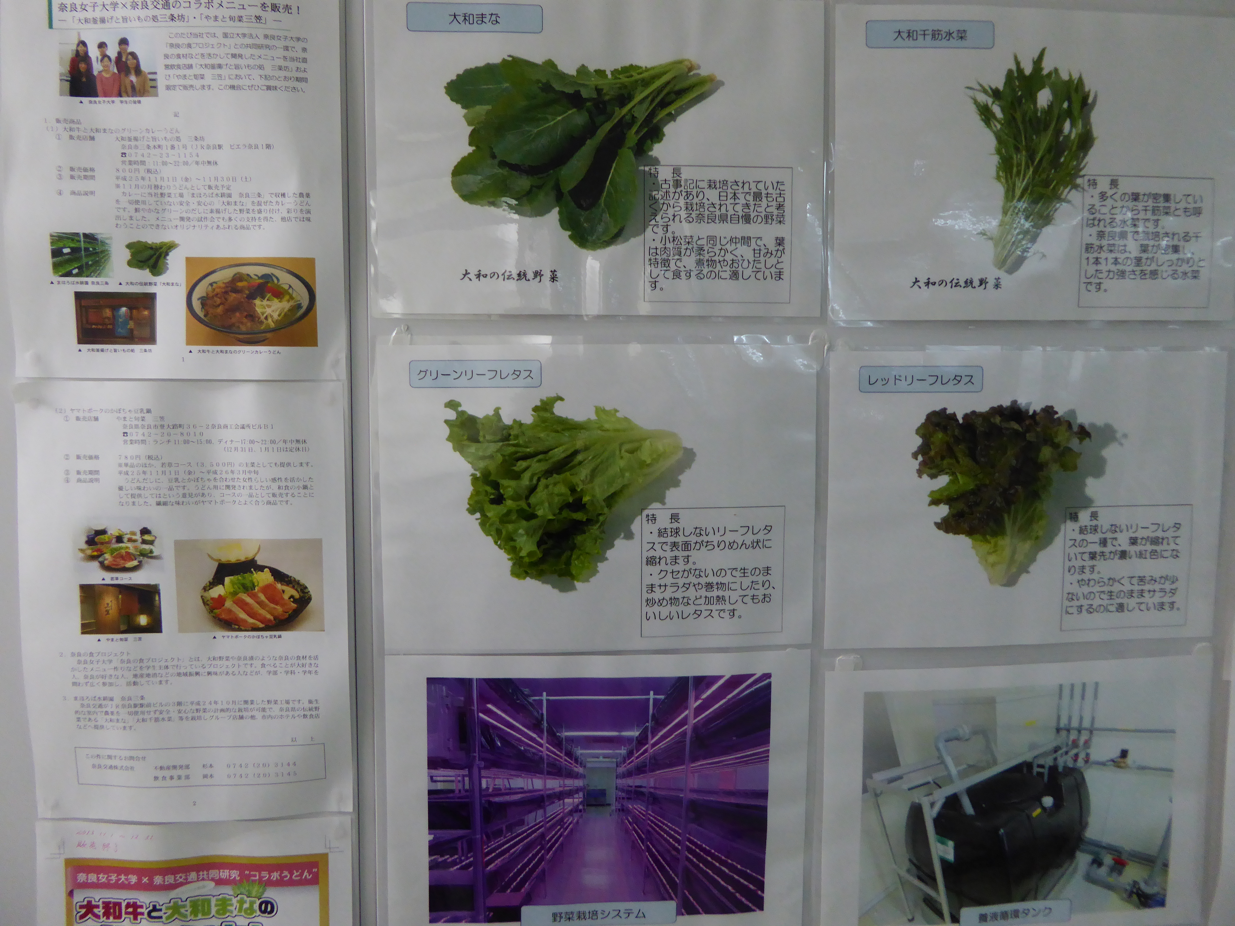 P1000226.JPG
