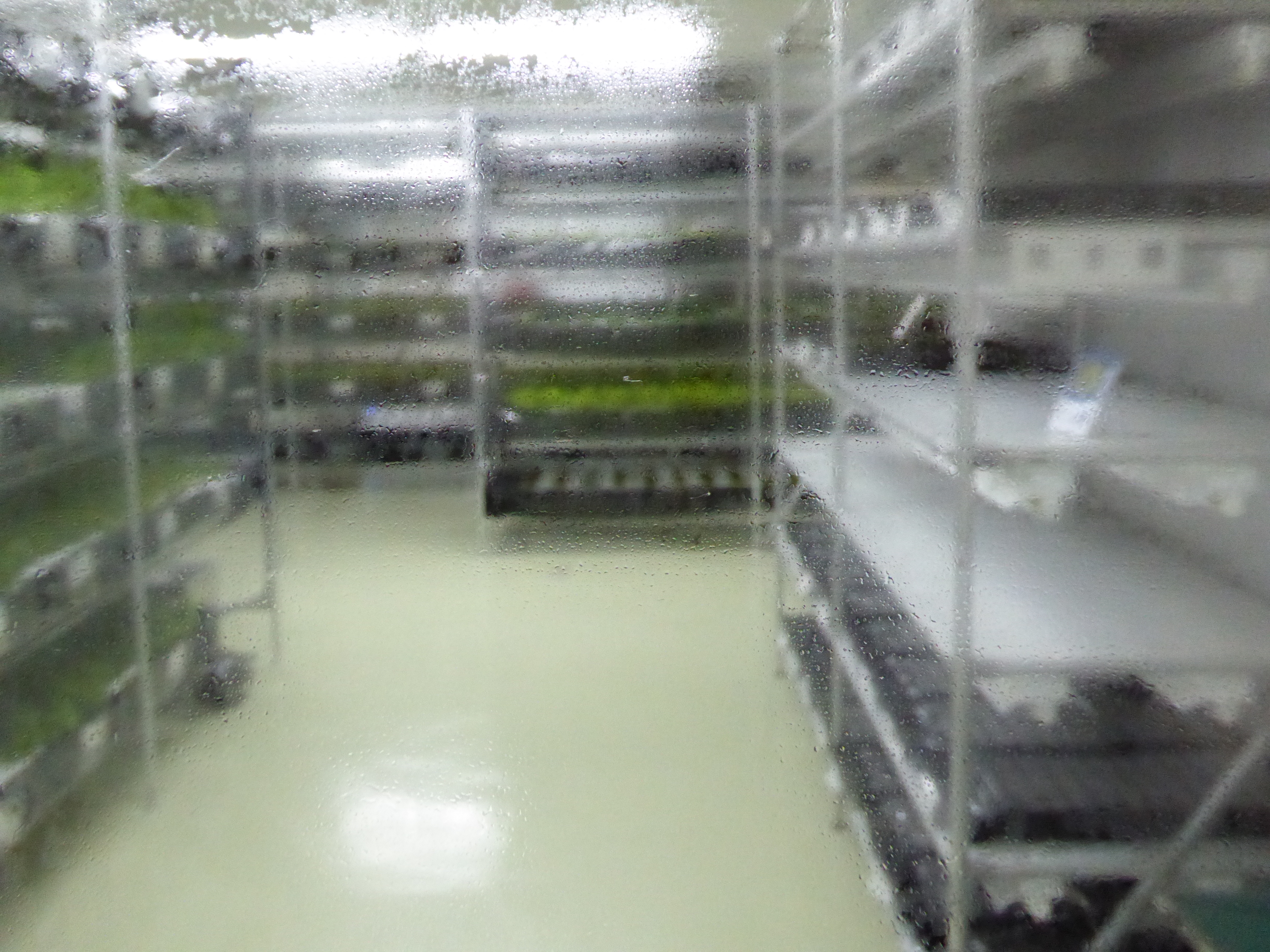P1000230.JPG