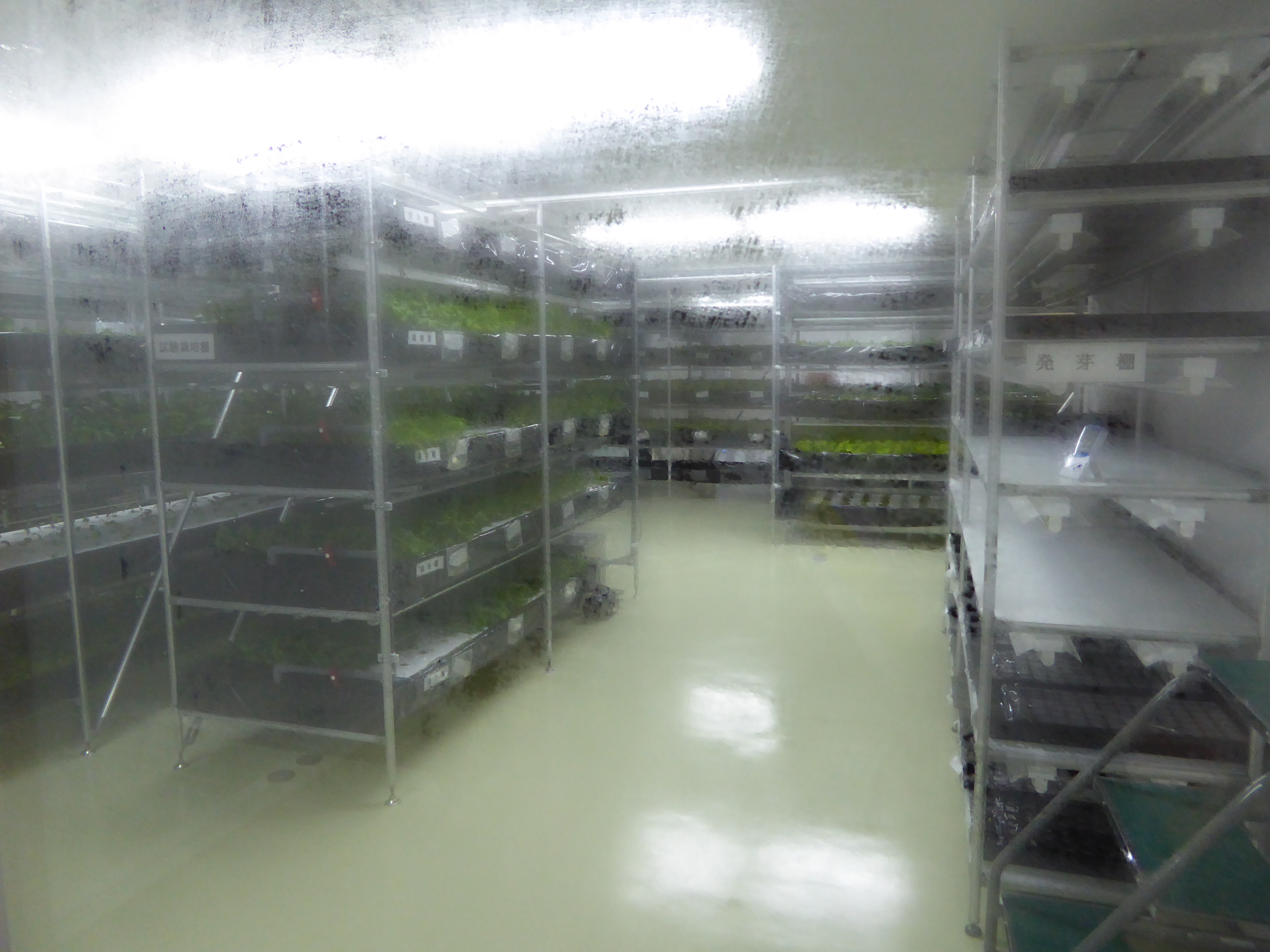 P1000232.JPG