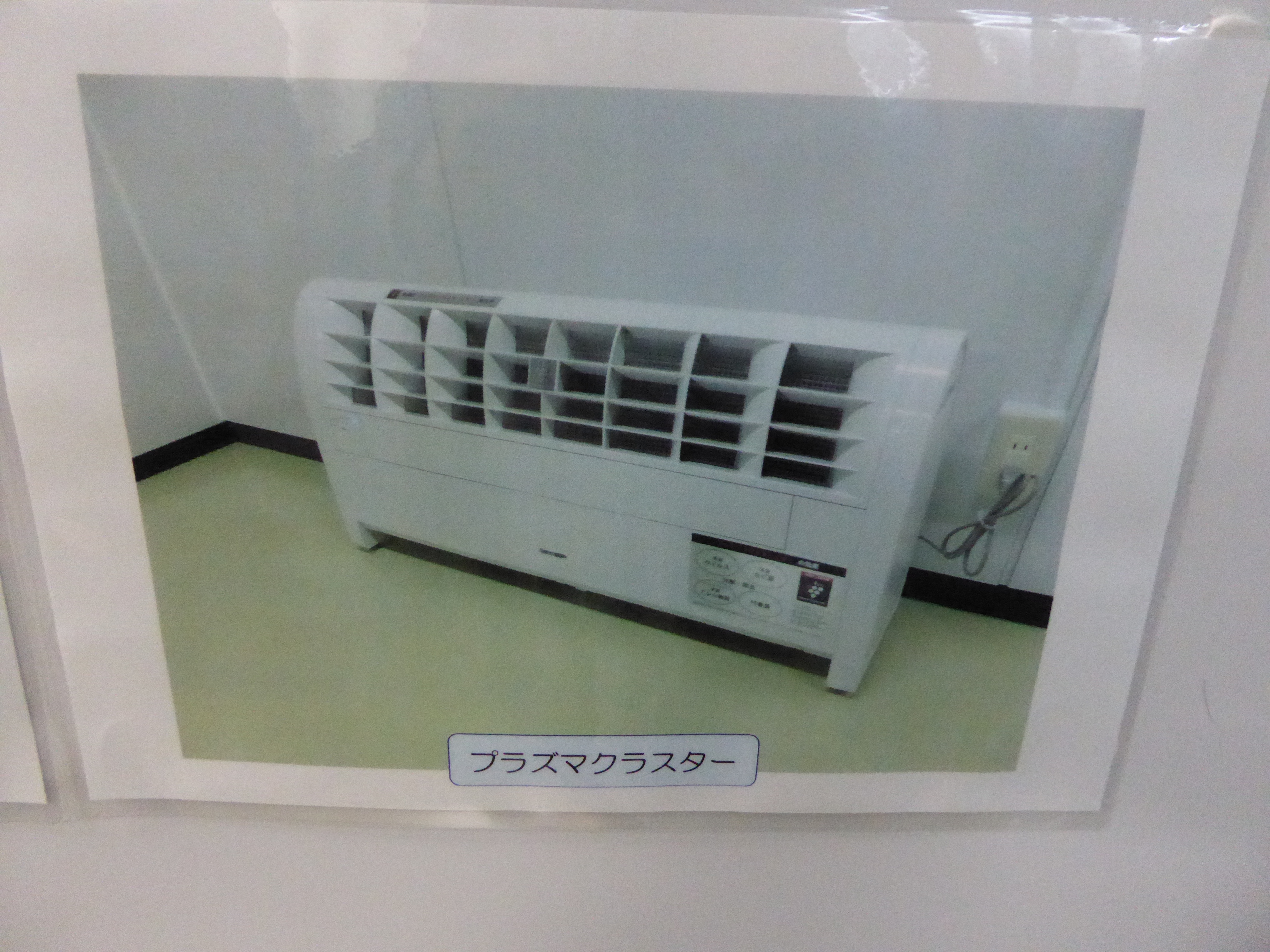 P1000235.JPG