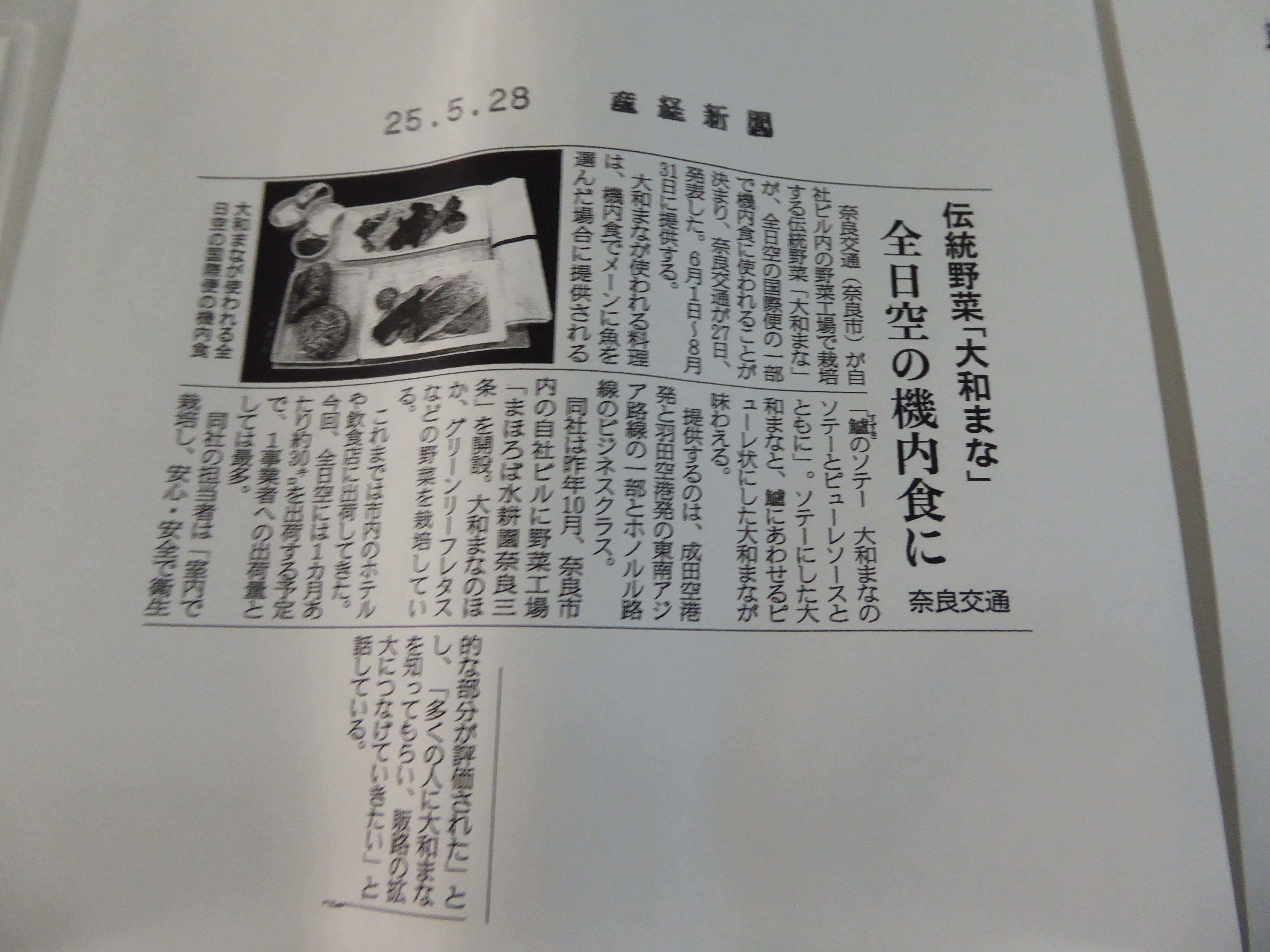 P1000241.JPG