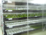 img0005.jpg