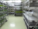 img0006.jpg