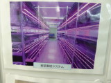 img0009.jpg