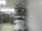 img0013.jpg