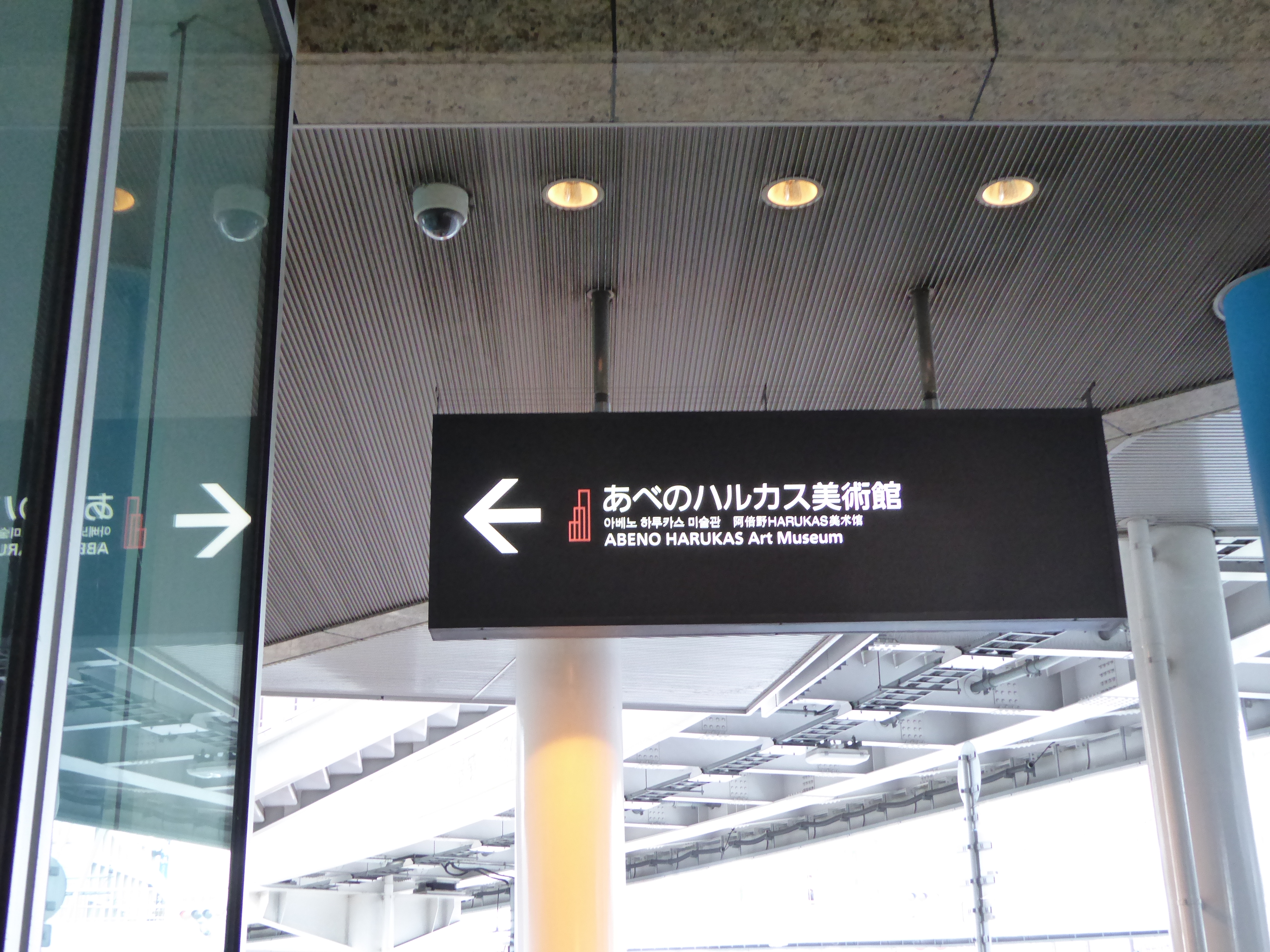 P1000246.JPG