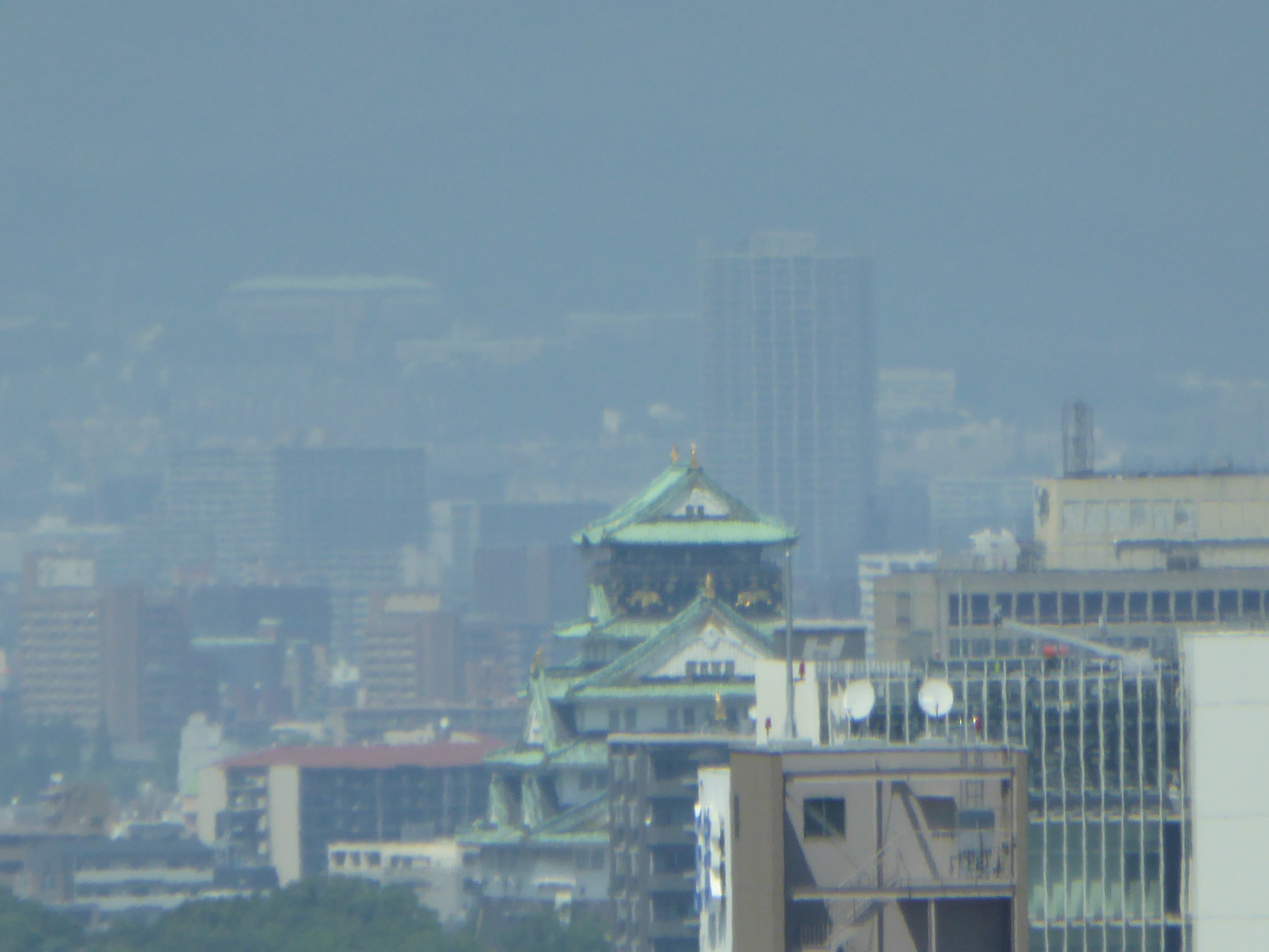 P1000257.JPG