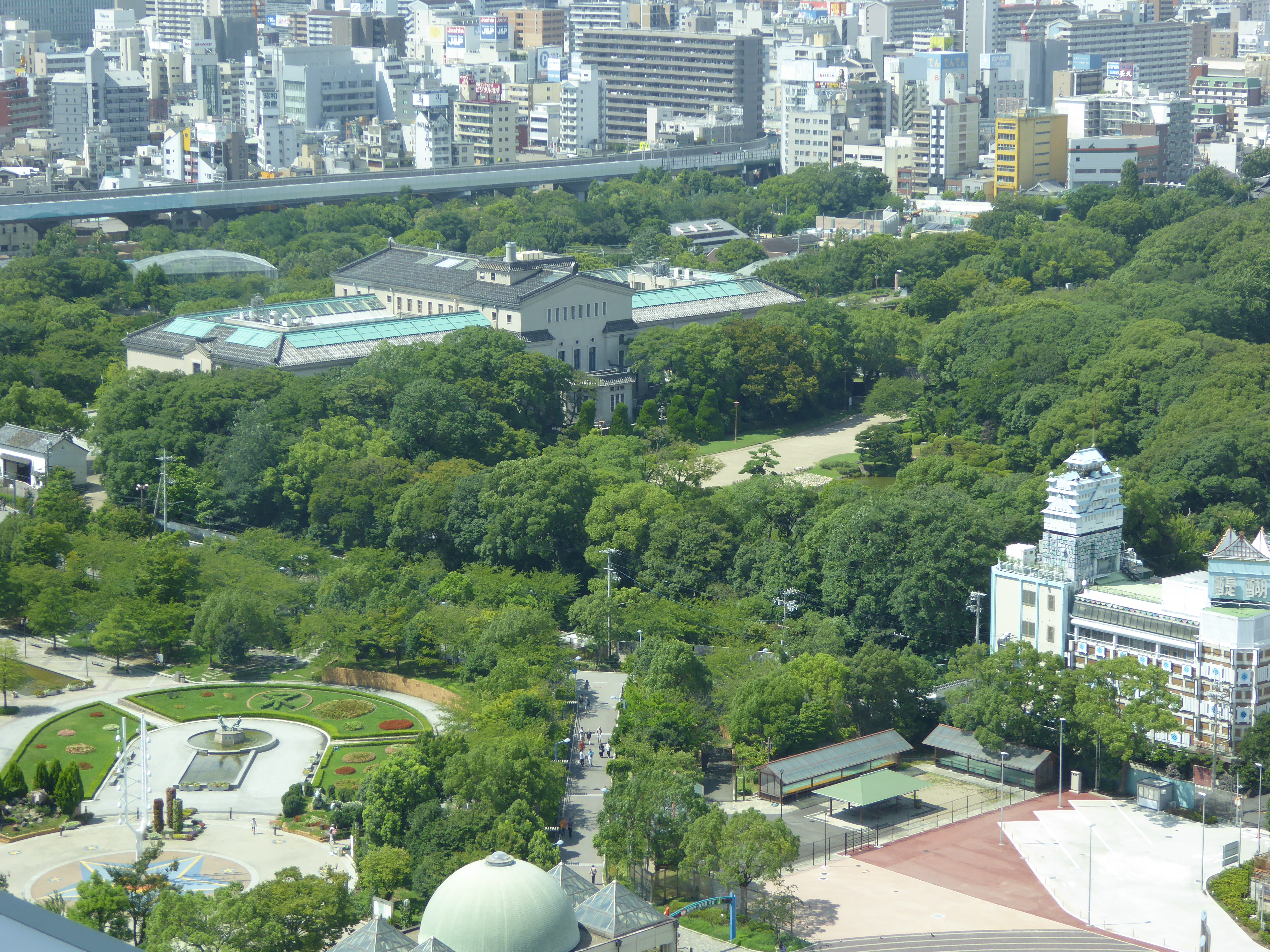 P1000259.JPG