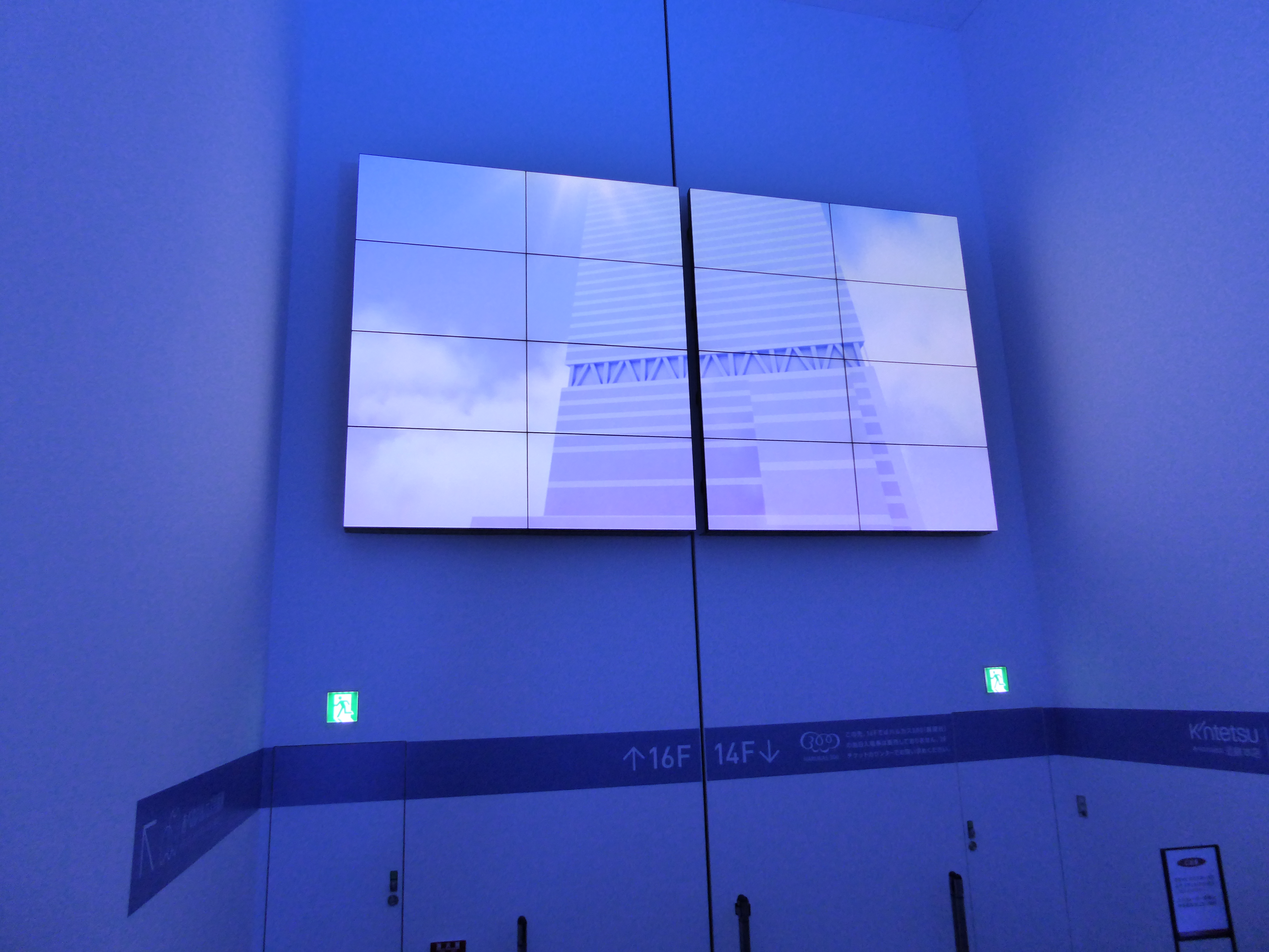 P1000261.JPG