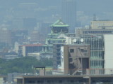img0010.jpg