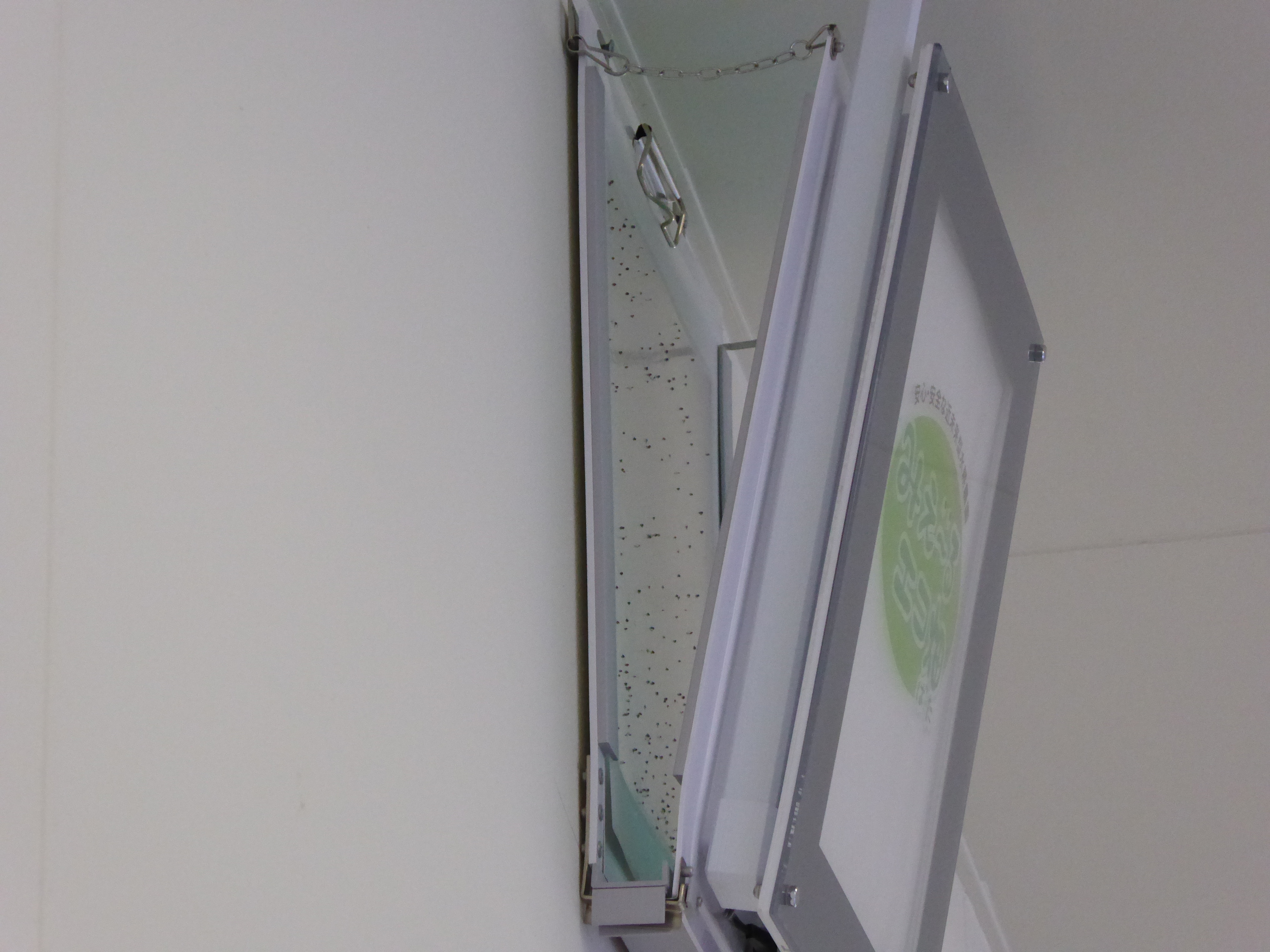 P1000300.JPG