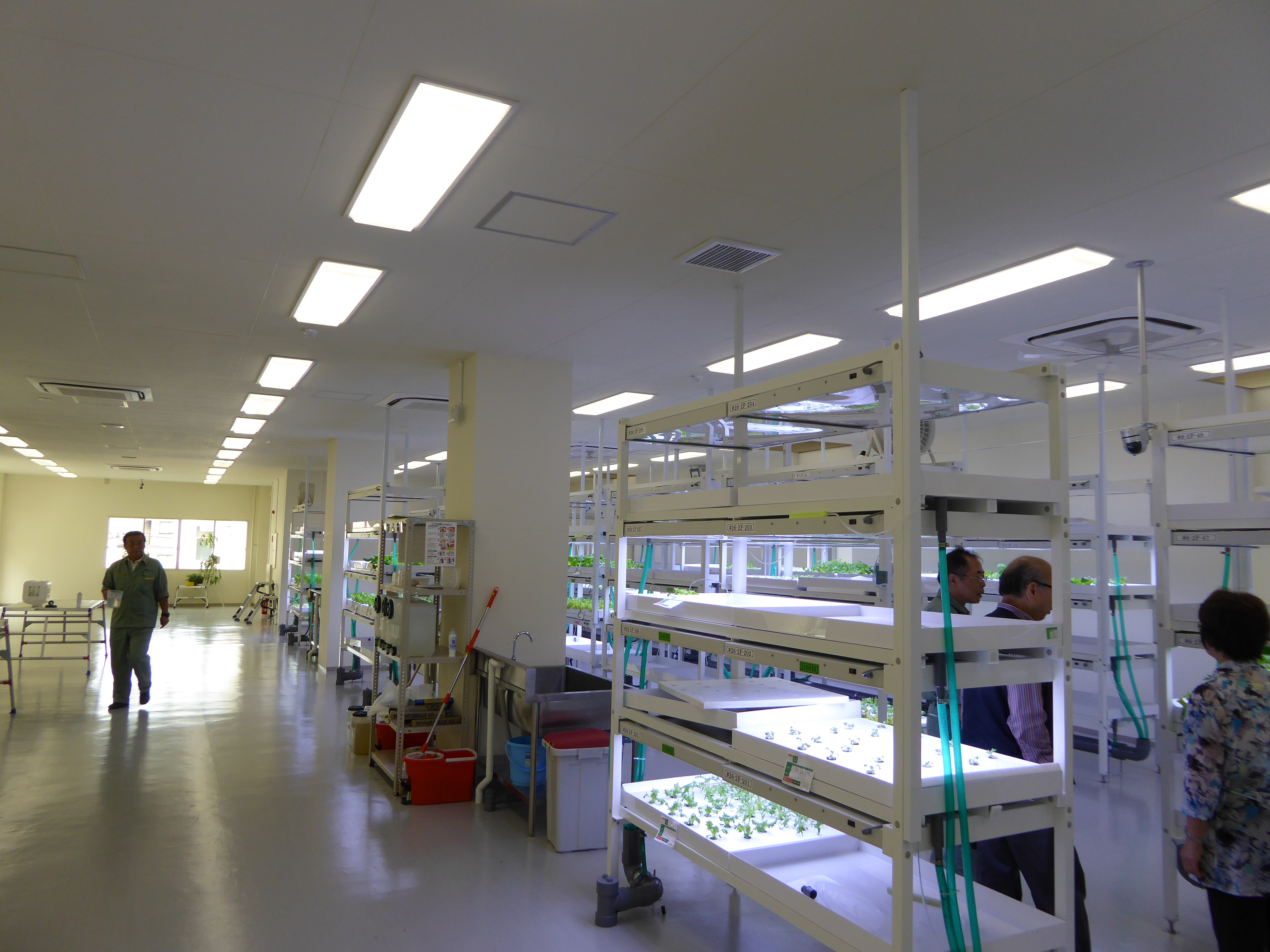 P1000301.JPG