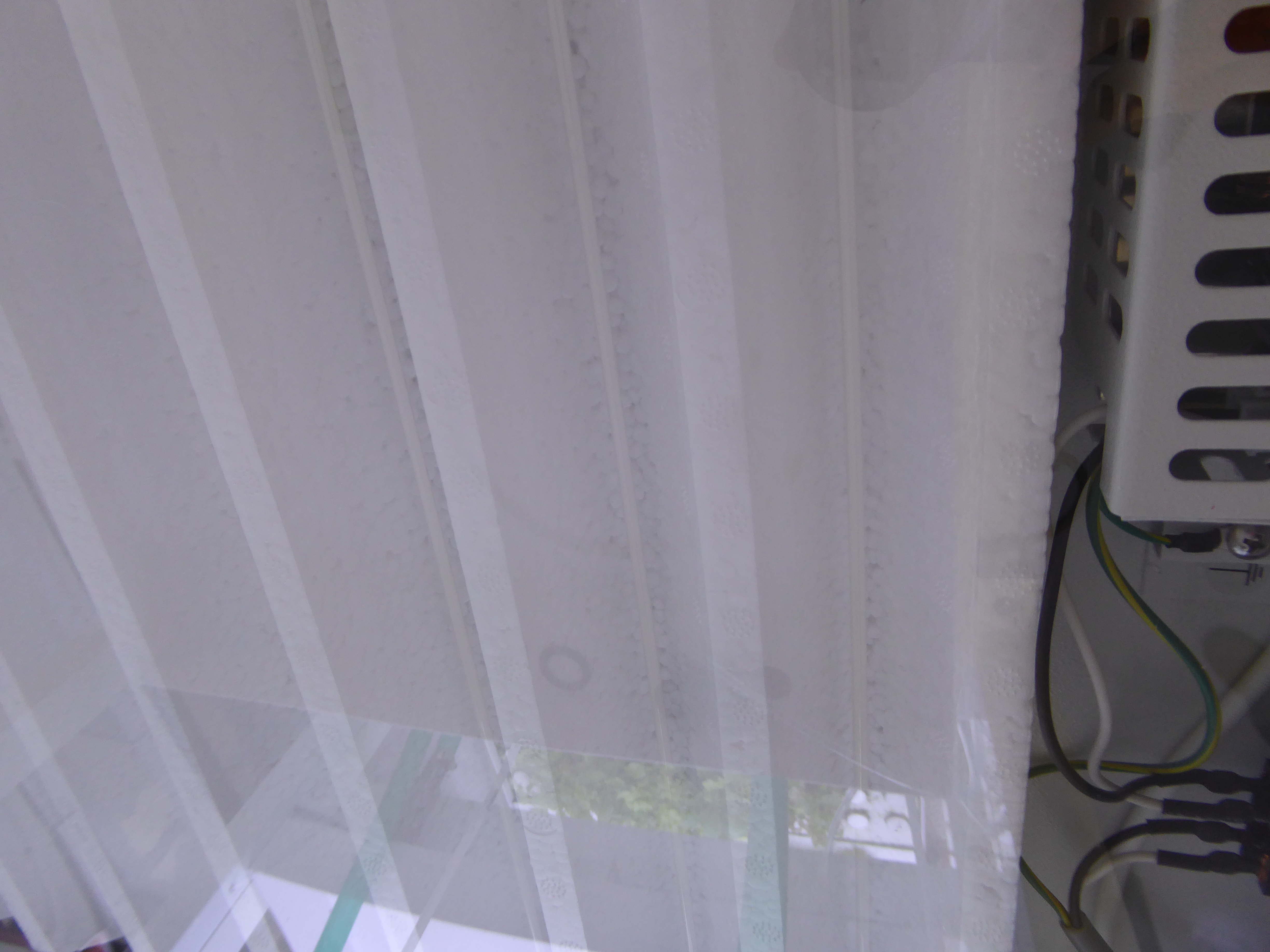 P1000316.JPG