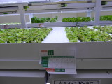 img0006.jpg
