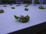 img0007.jpg