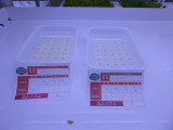 img0008.jpg
