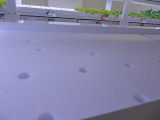 img0009.jpg