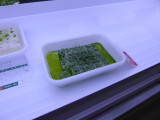 img0010.jpg