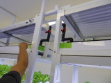 img0015.jpg