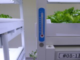 img0016.jpg