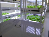 img0025.jpg